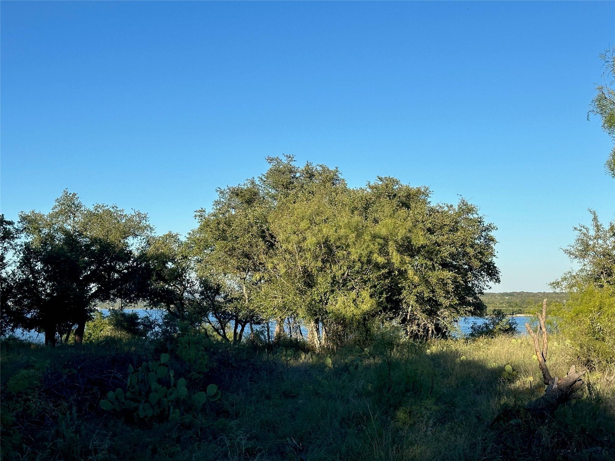 Brownwood, TX 76801,263 Feather Bay DR