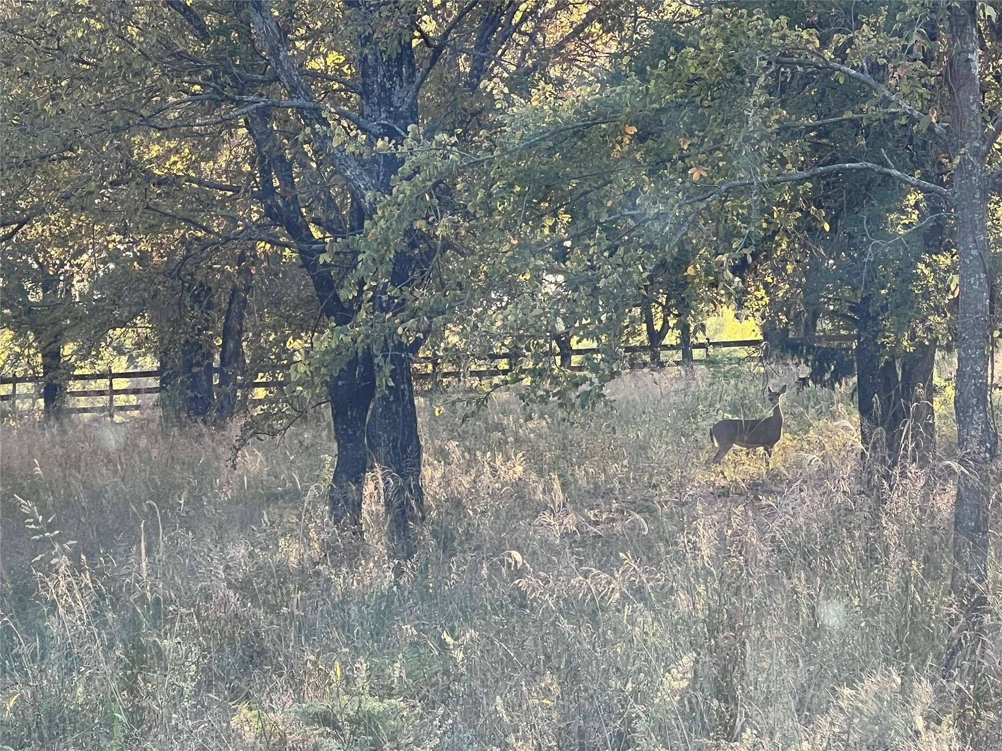 Tioga, TX 76271,Lot 14 Lake Point DR