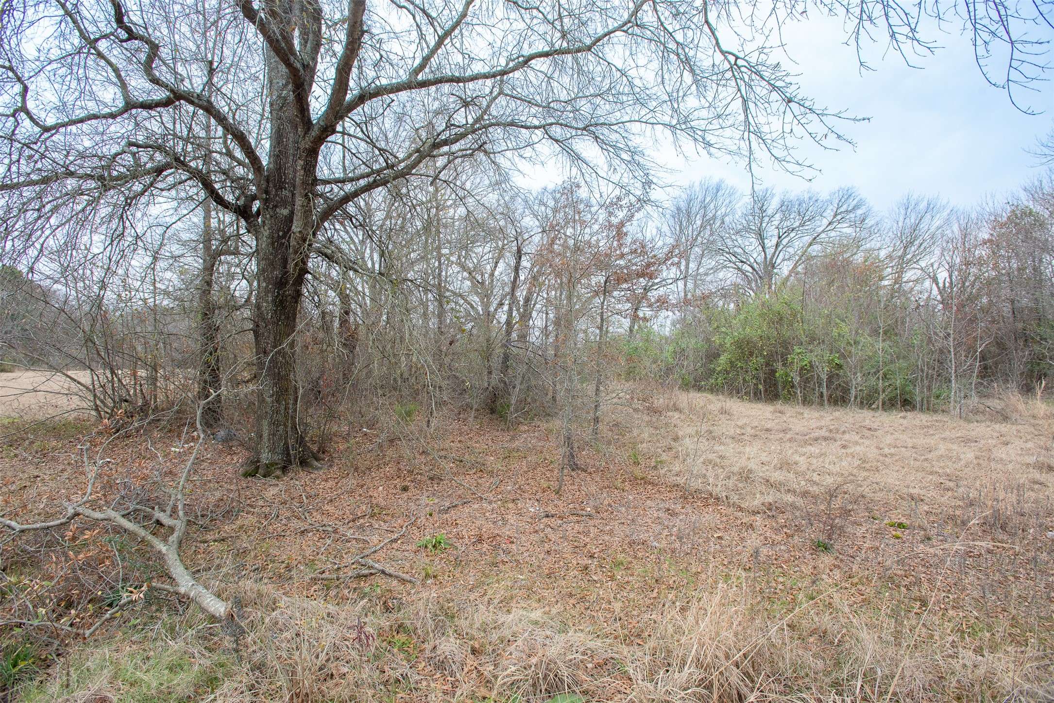 Mabank, TX 75156,TBD Lazy Launch LN