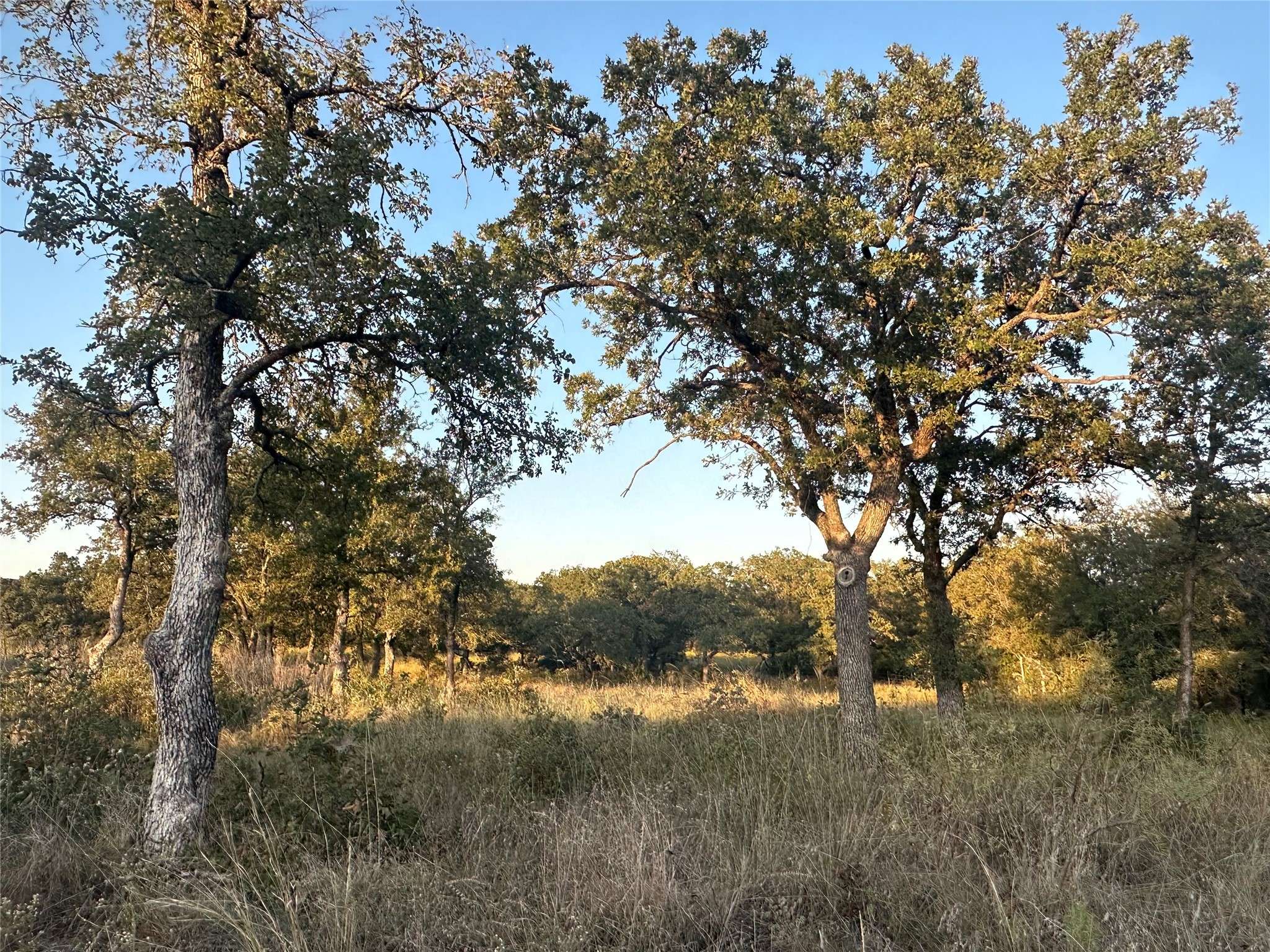 Paradise, TX 76073,157 Paradise Oaks CT