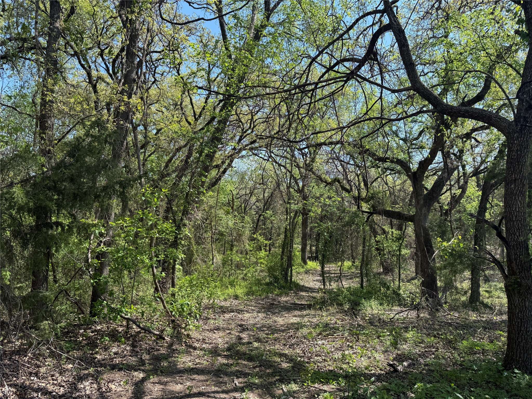 Montague, TX 76251,261 Catholic Cemetery RD