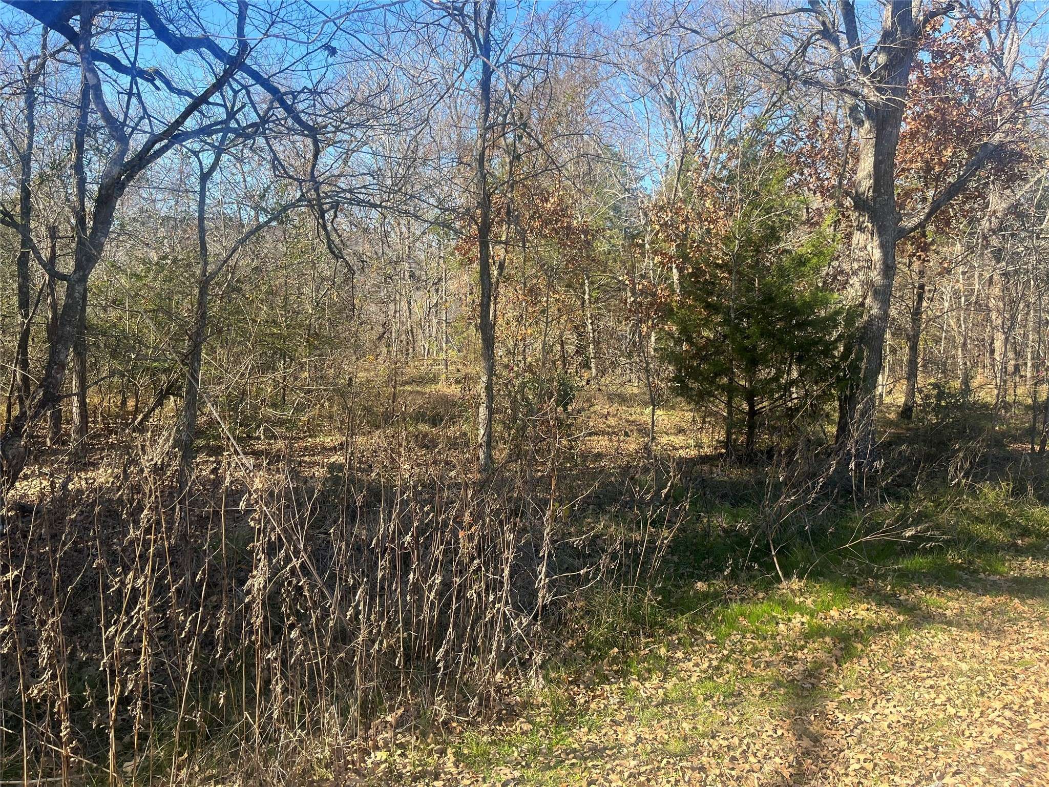 Trinidad, TX 75163,Lot 158 Parkside DR