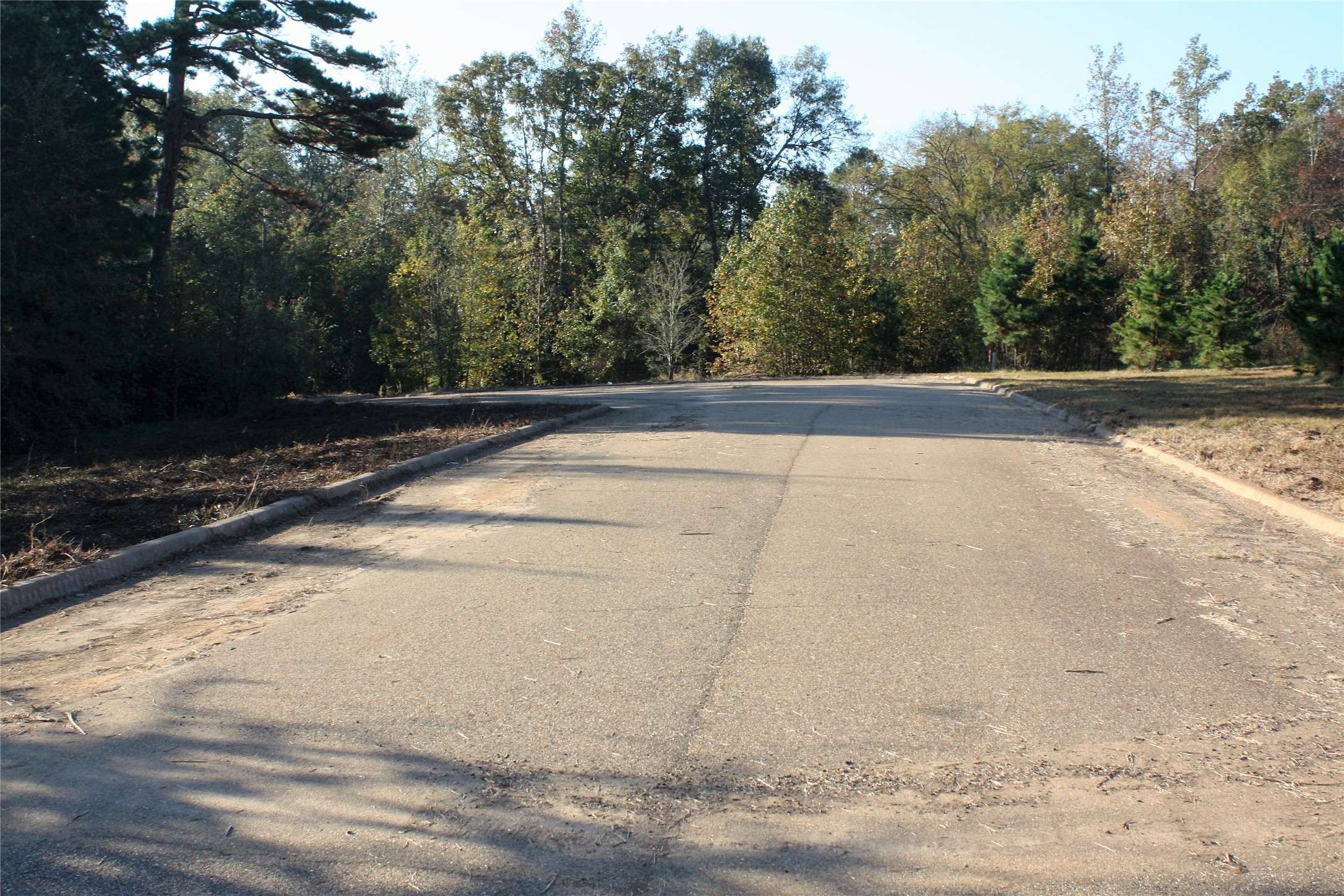 Gilmer, TX 75644,TBD Armadillo RD