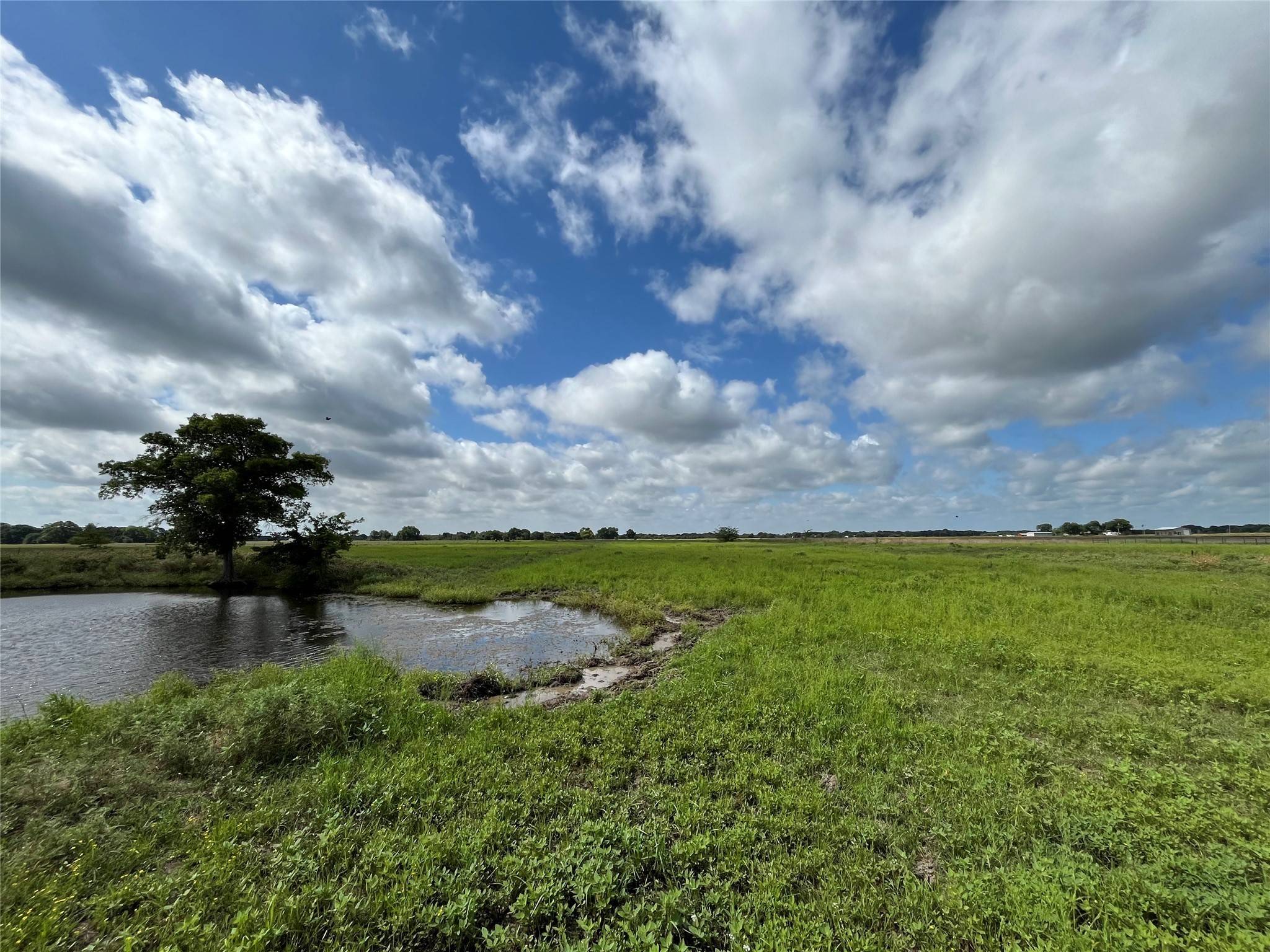 Sadler, TX 76264,TBD LOT 6 Brooks LN