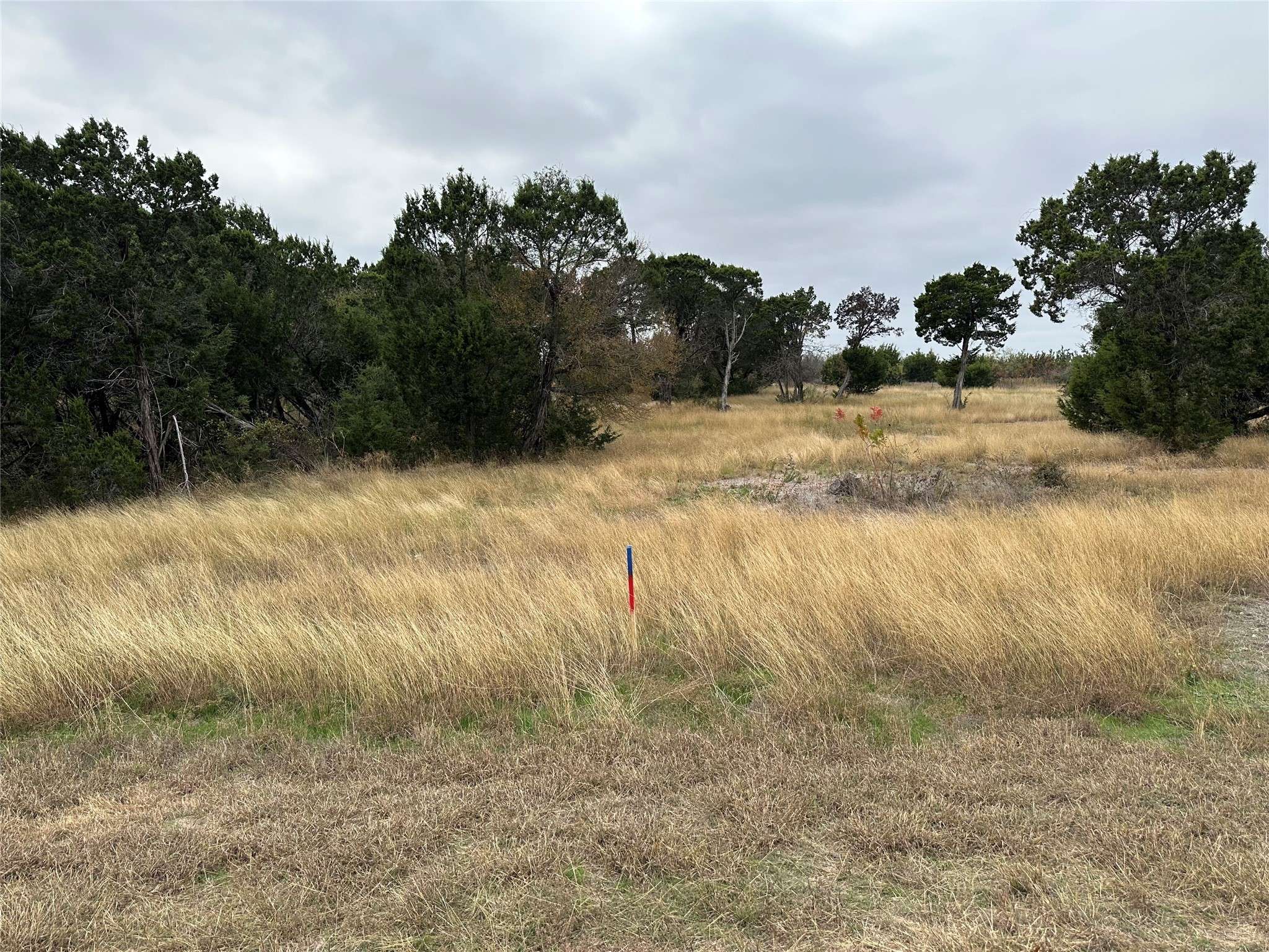Cleburne, TX 76033,8024 Leven Link ST