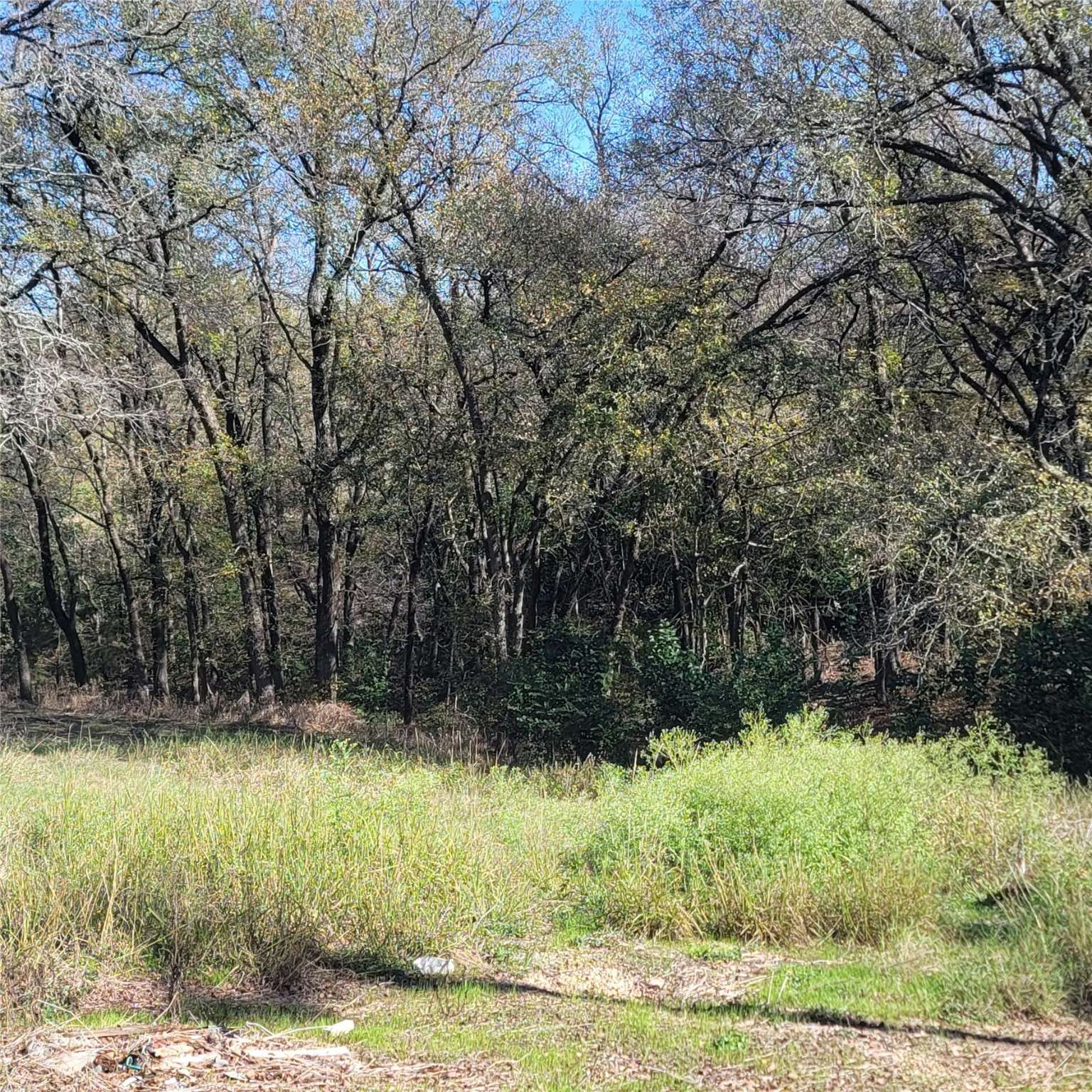 Palmer, TX 75152,1211 Epps RD