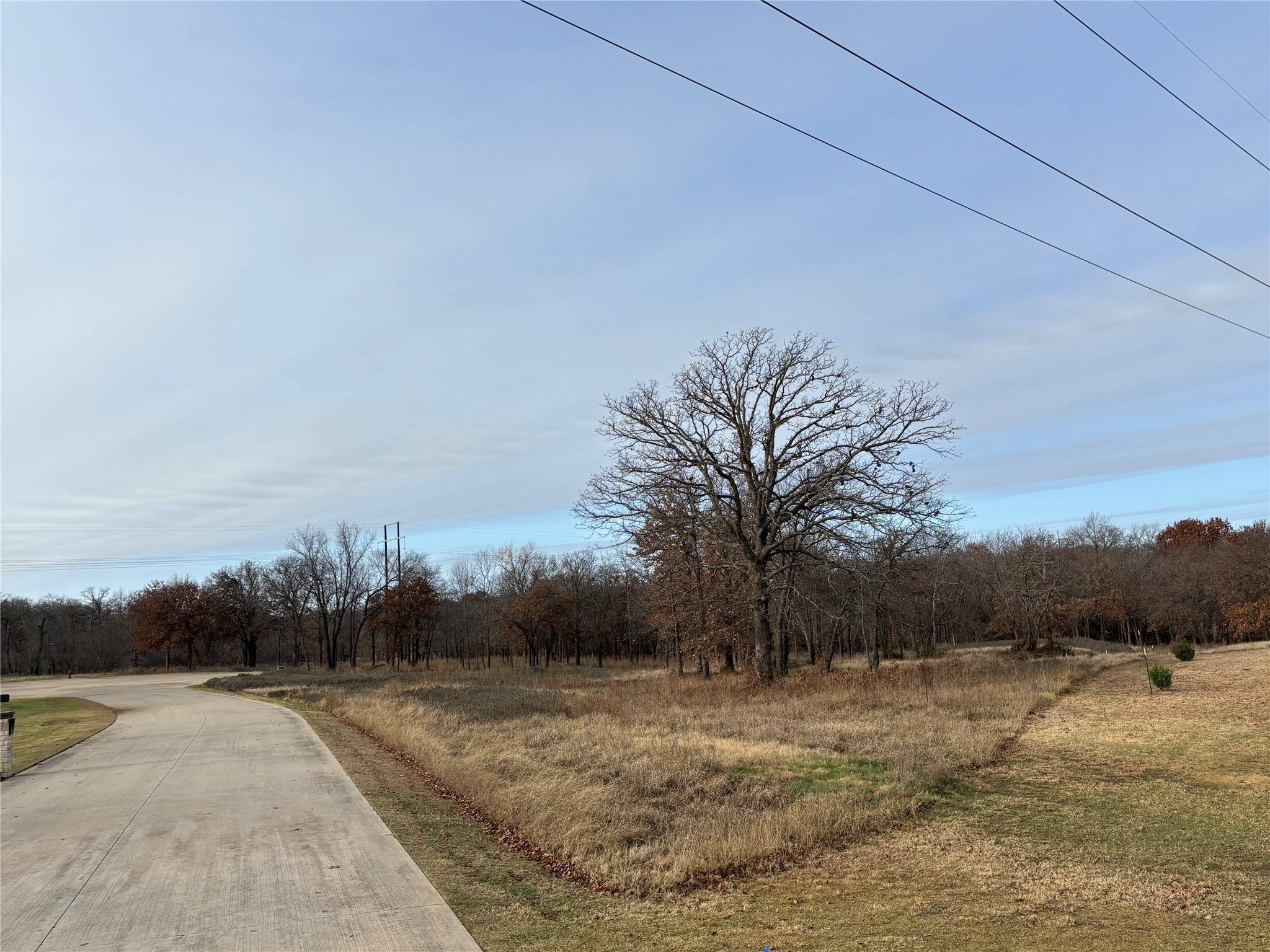 Copper Canyon, TX 75077,795 Deer PATH
