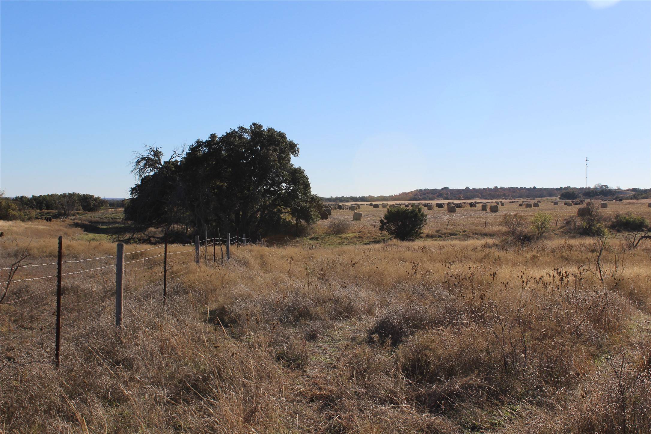 Blanket, TX 76432,0000 County Road 207