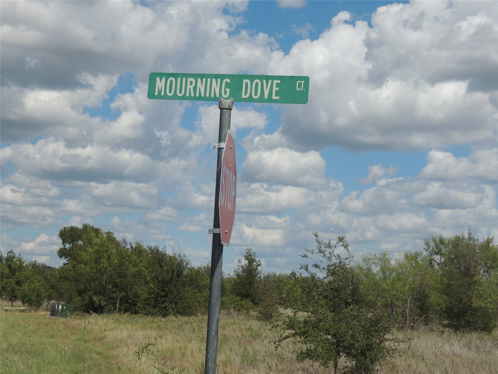 Graford, TX 76449,LOT 50 Mourning Dove CT