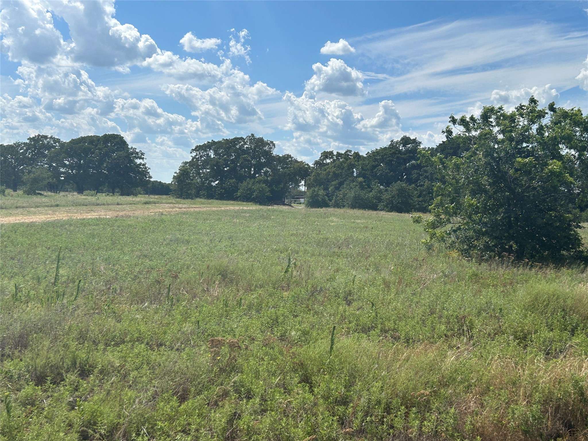 Bowie, TX 76230,1479 Redbird LN