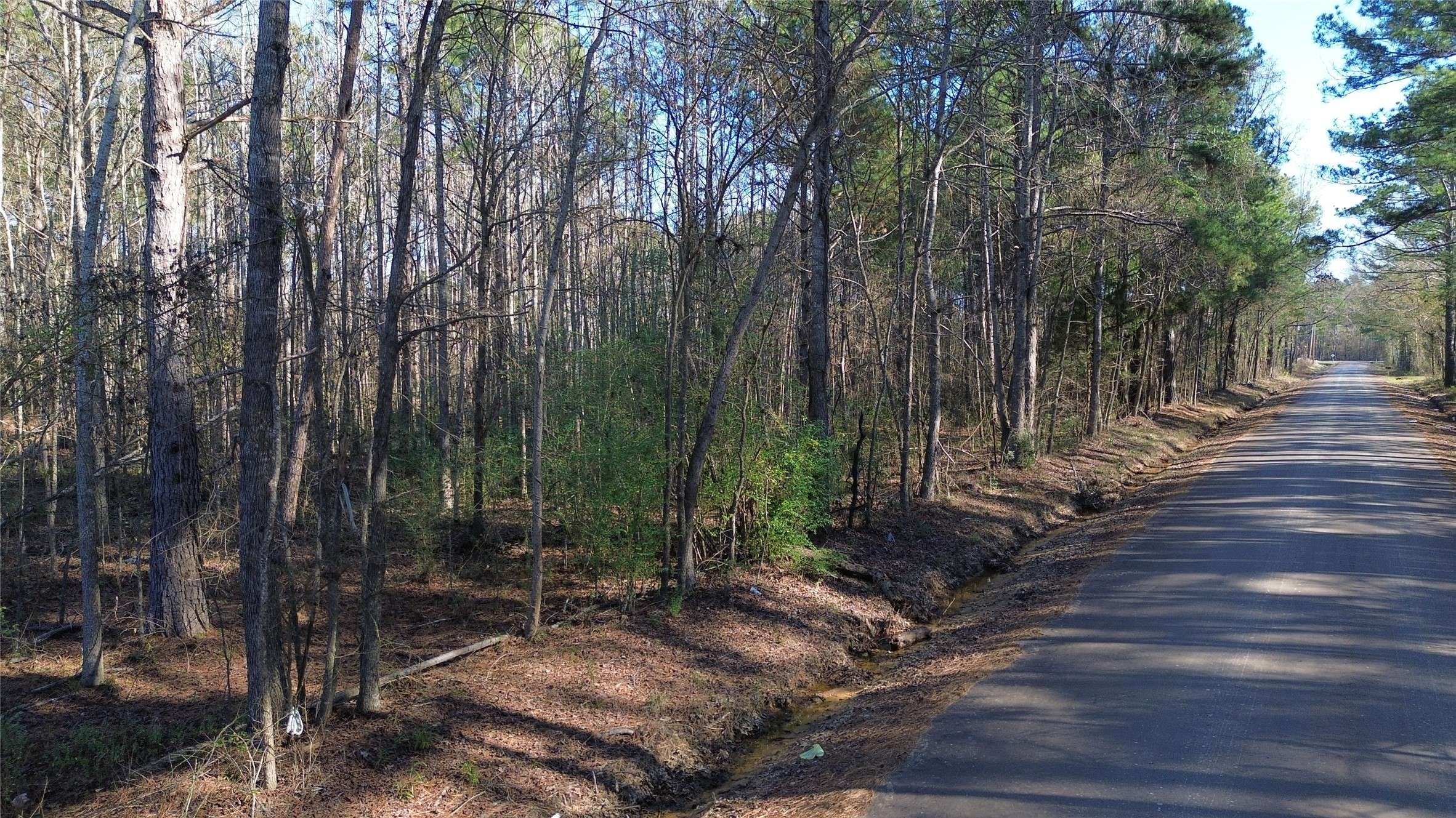 Marshall, TX 75672,TBD Piney Grove School RD