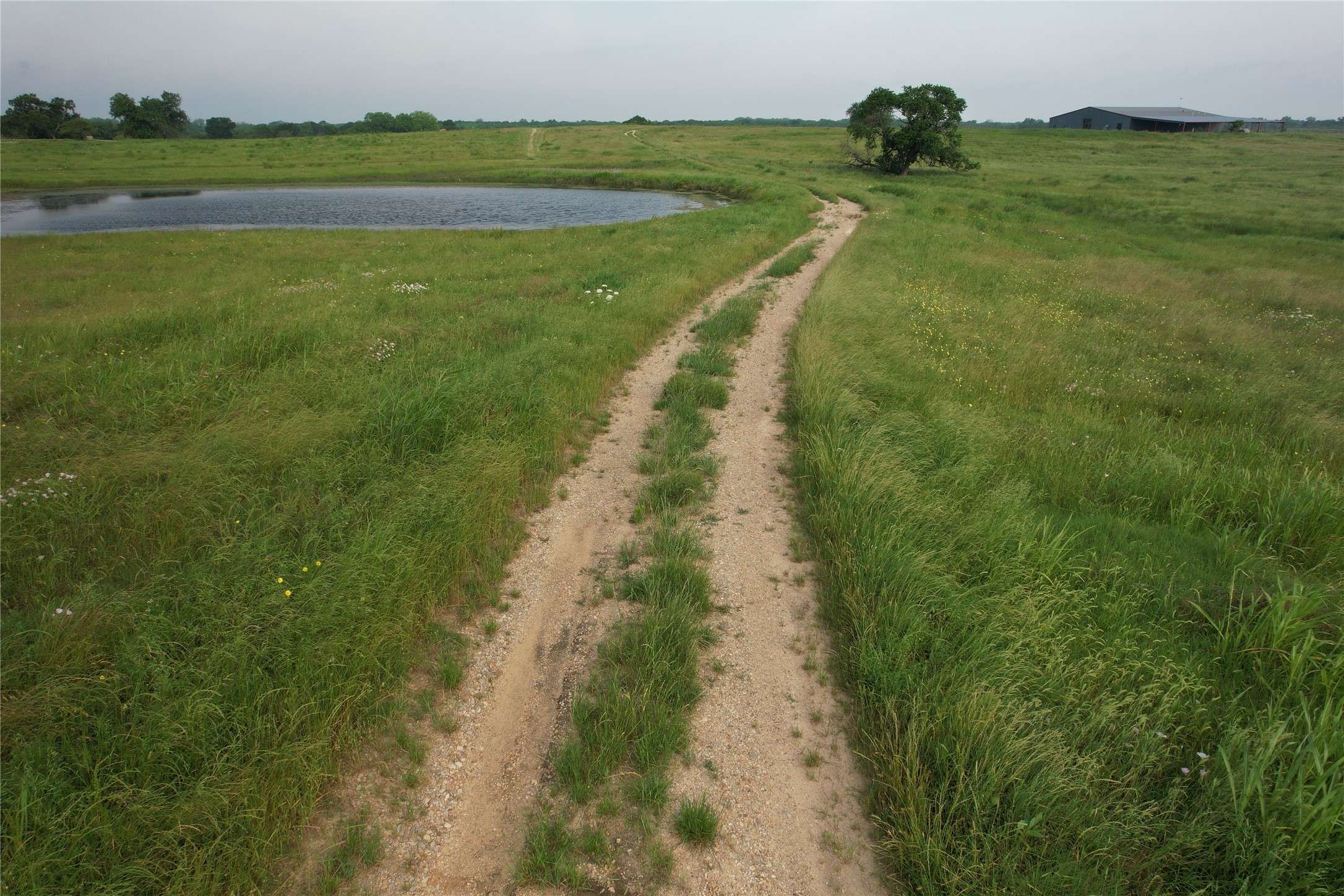 Cumby, TX 75433,4831 FM 3134