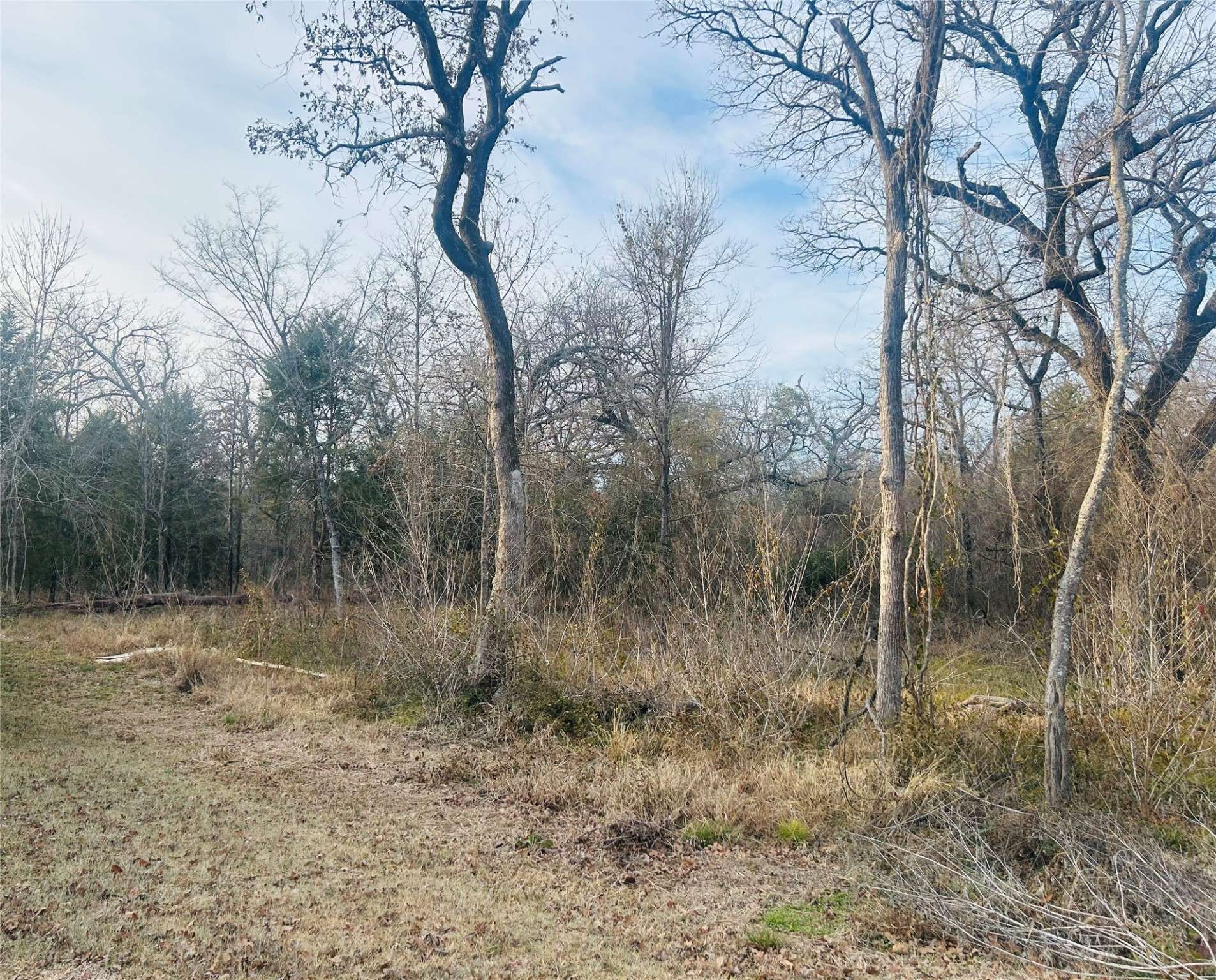 Trinidad, TX 75163,0 Lakeview DR
