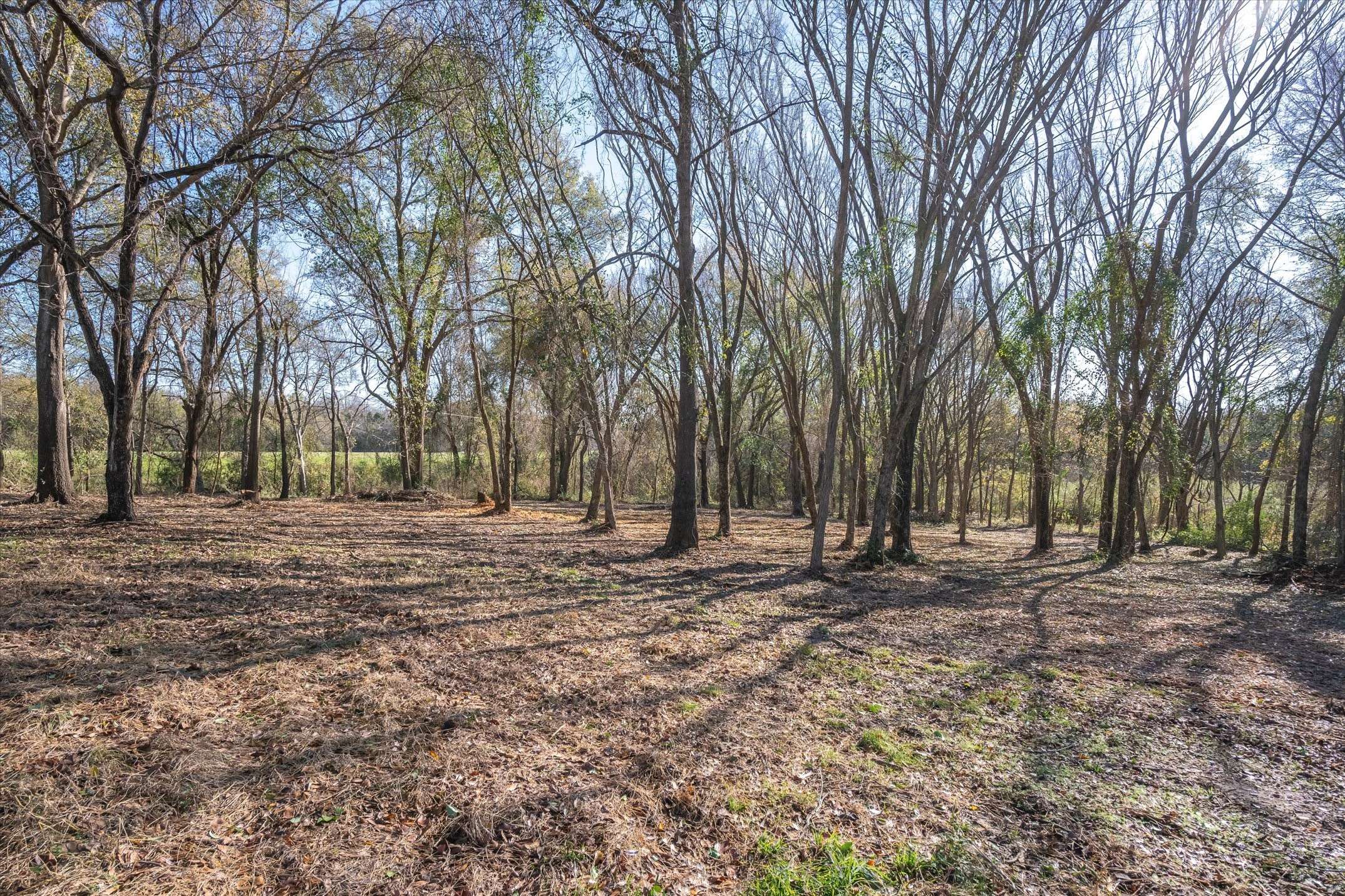 Gun Barrel City, TX 75124,15271 Us-175