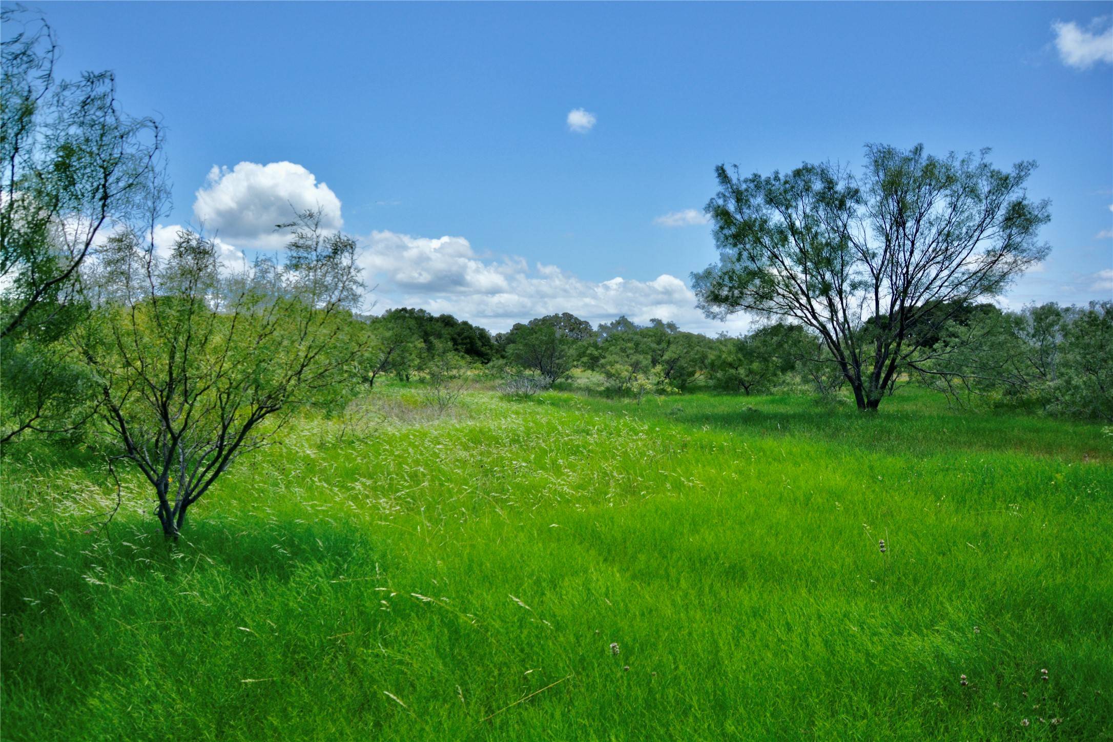 Mullin, TX 76864,727 N FM 573