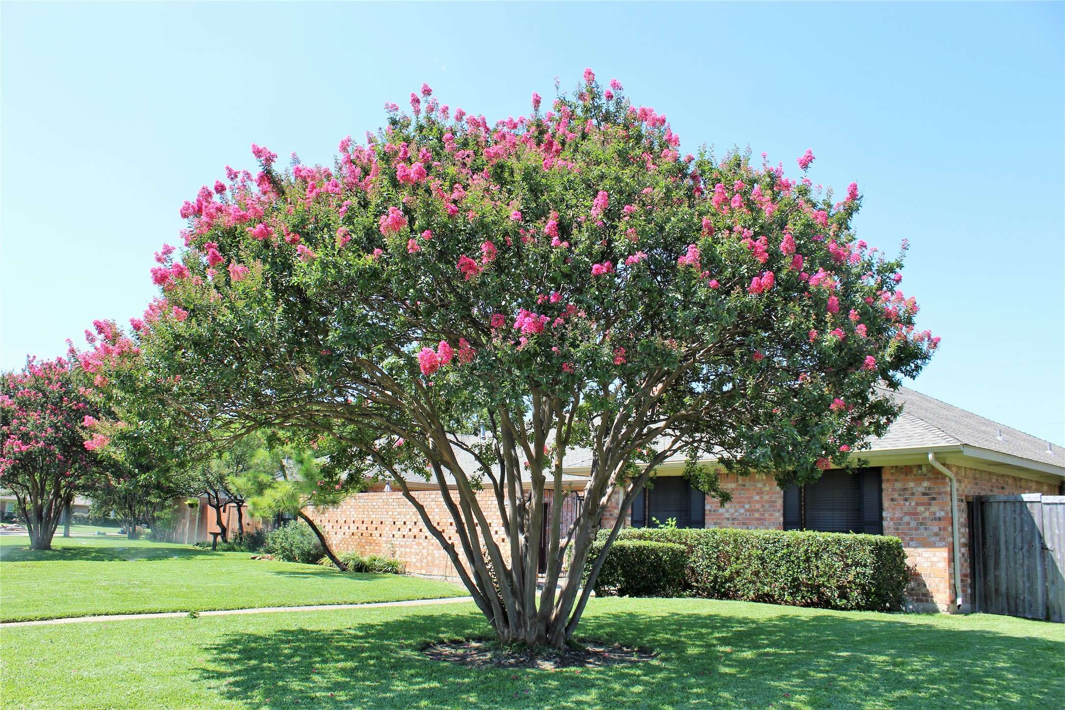 Dallas, TX 75248,16342 Lauder LN
