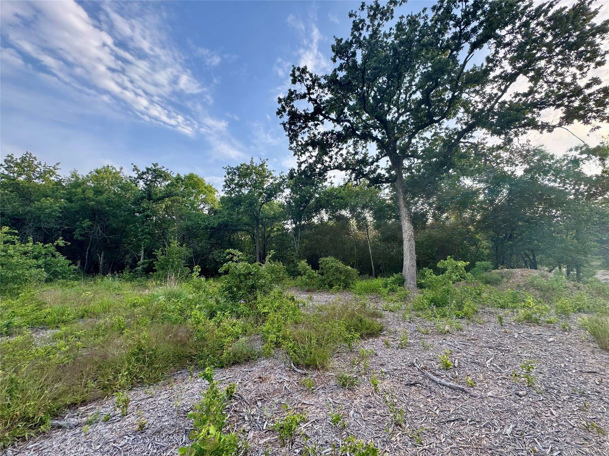 Nemo, TX 76043,1051 Rose Ct