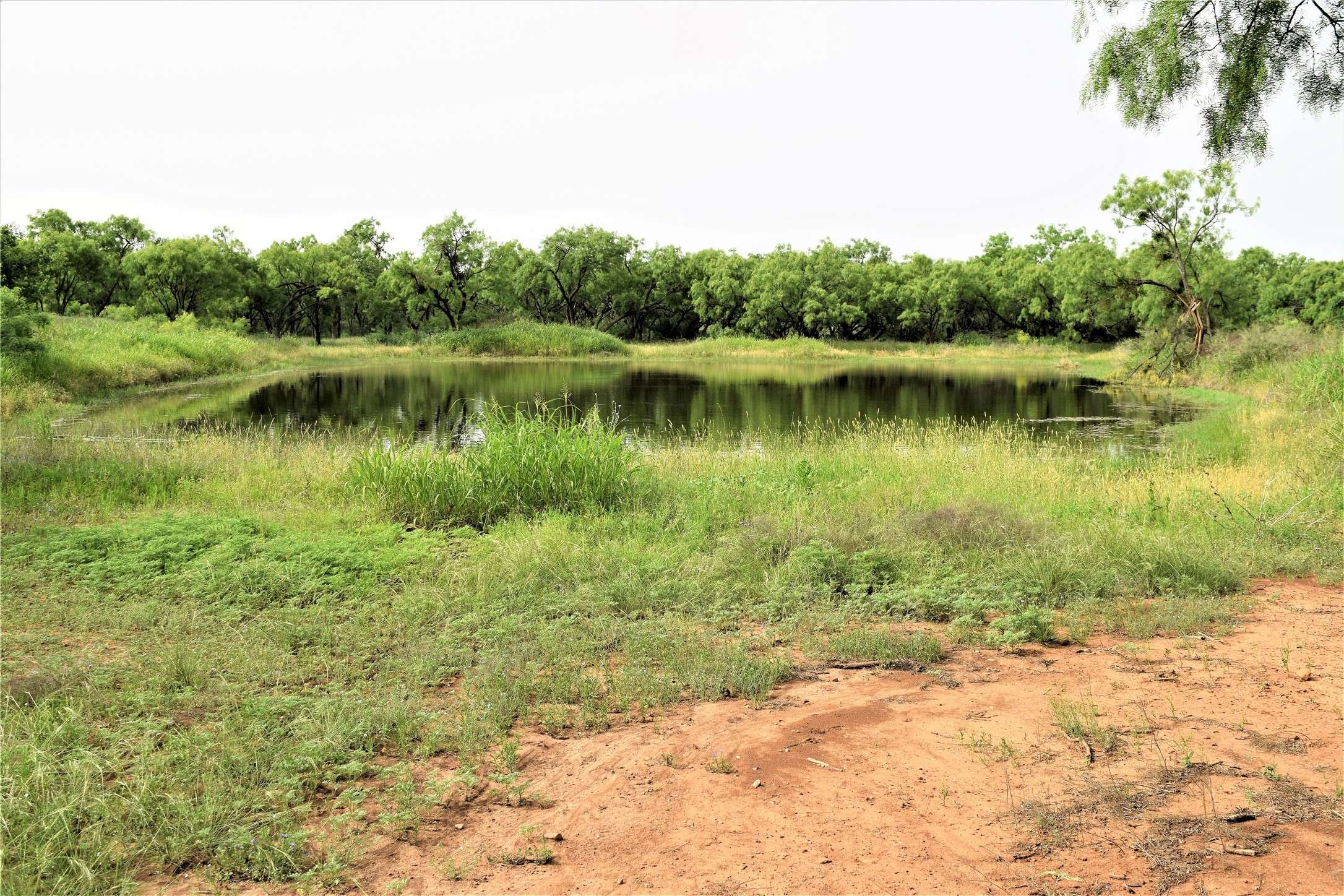 Coleman, TX 76834,351 CR 126