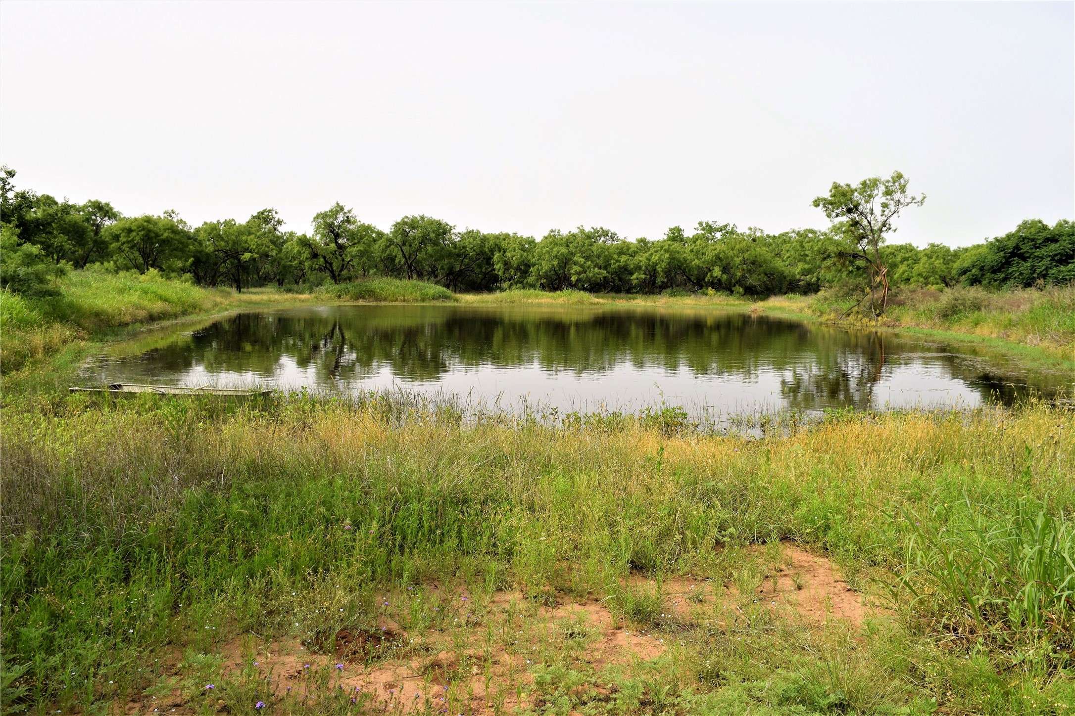 Coleman, TX 76834,351 CR 126