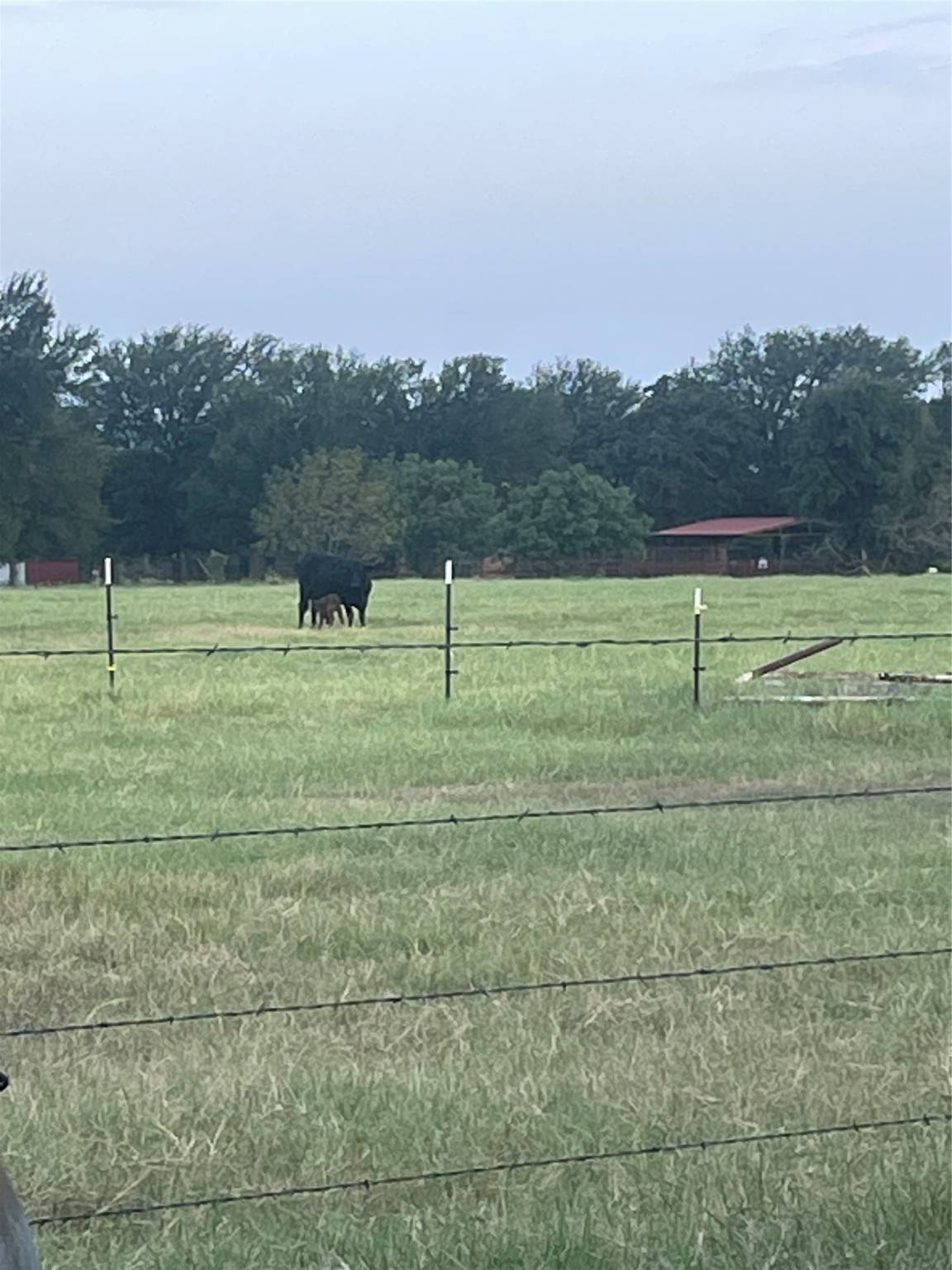 Palo Pinto, TX 76484,TBD Brown