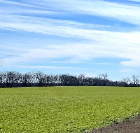 Roxton, TX 75477,TBD Farm Road 834