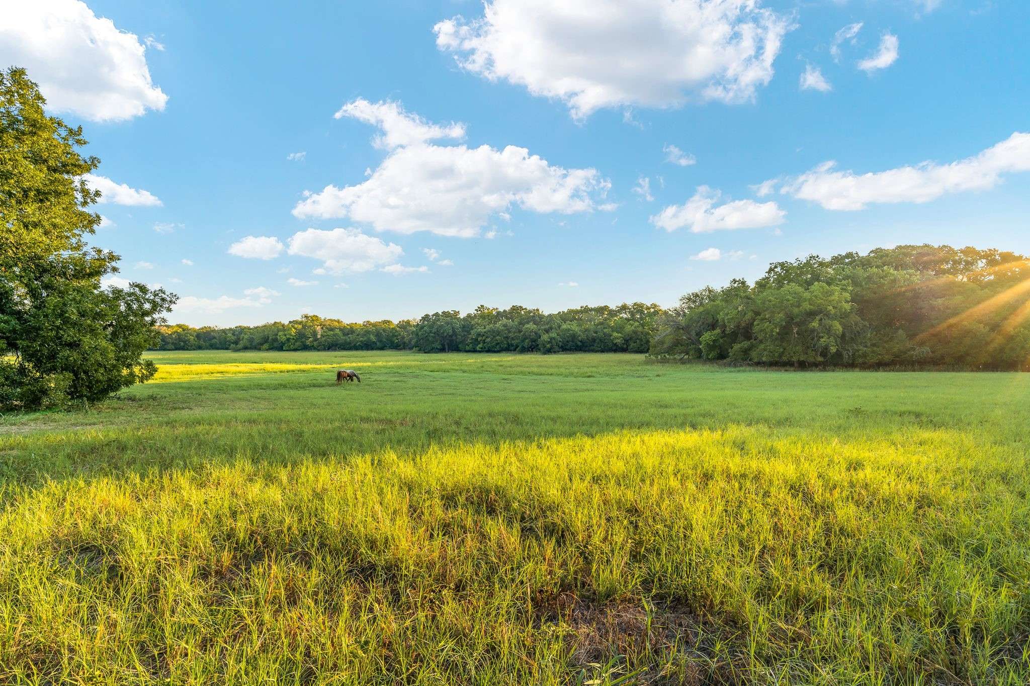 Weatherford, TX 76086,Lots 12-16 Sherry TRL