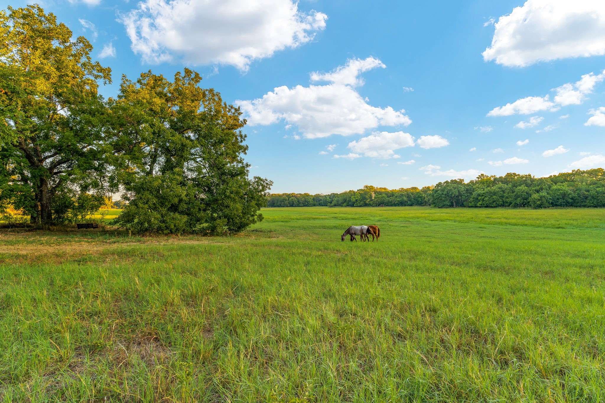 Weatherford, TX 76086,Lots 12-16 Sherry TRL