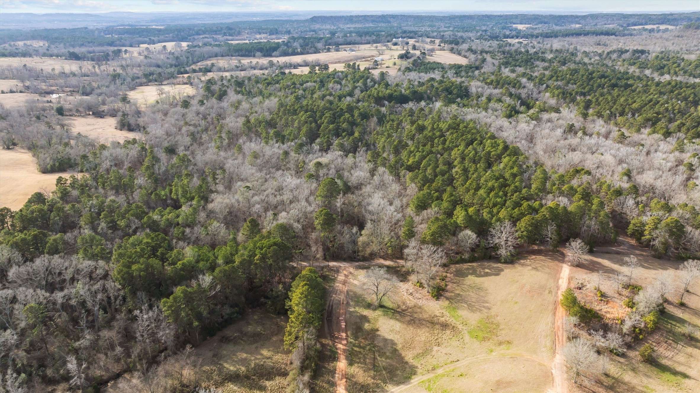 Gilmer, TX 75645,TBD Goldenrod RD