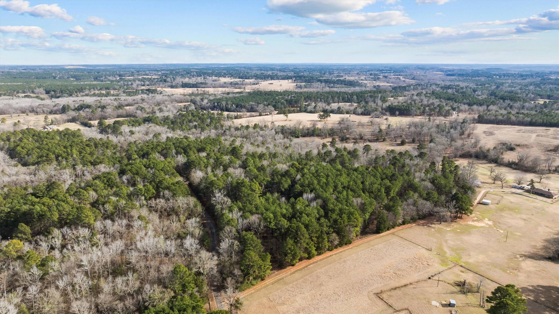 Gilmer, TX 75645,TBD Goldenrod RD S
