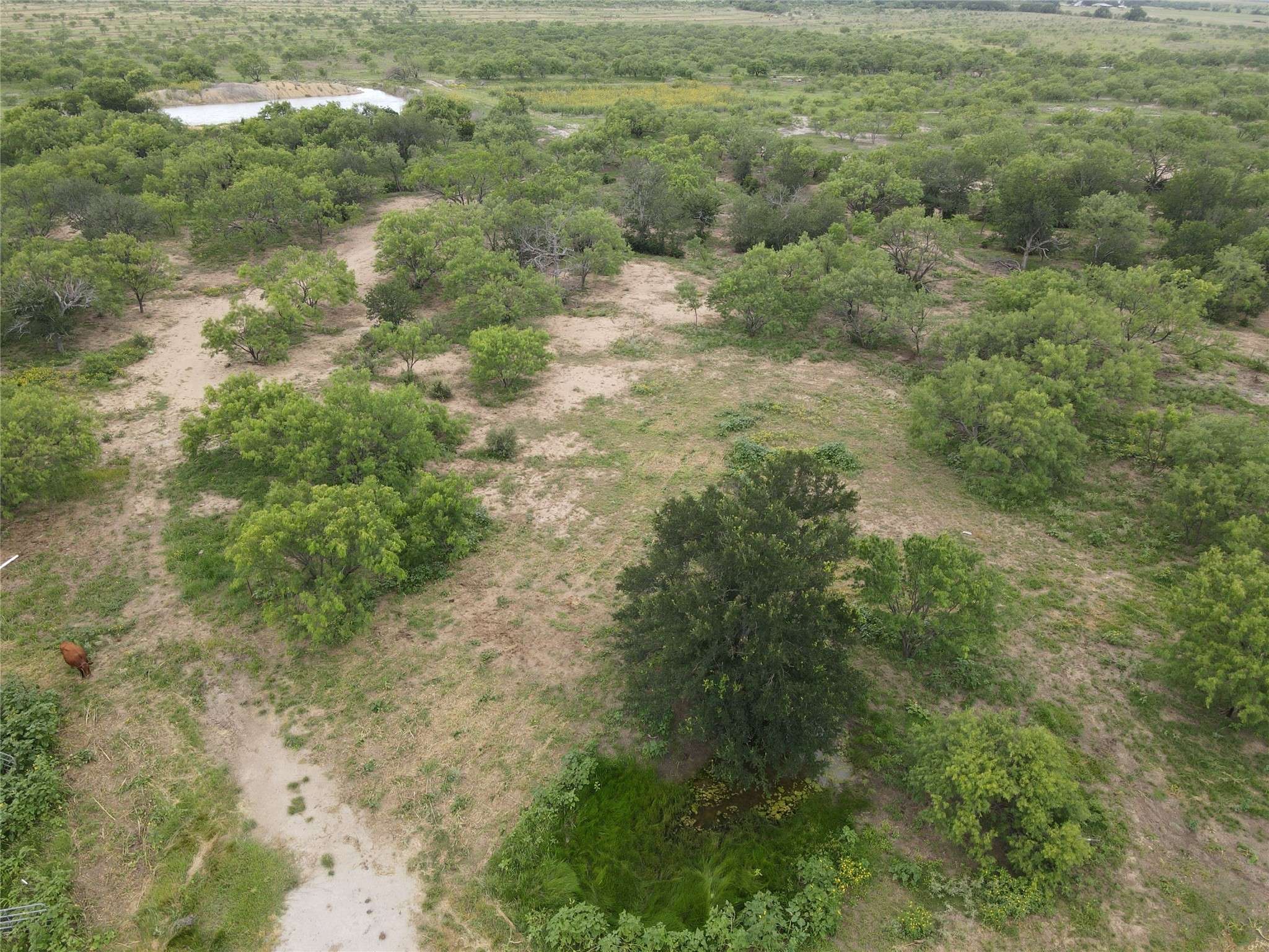 Brownwood, TX 76801,TBD County Road 201