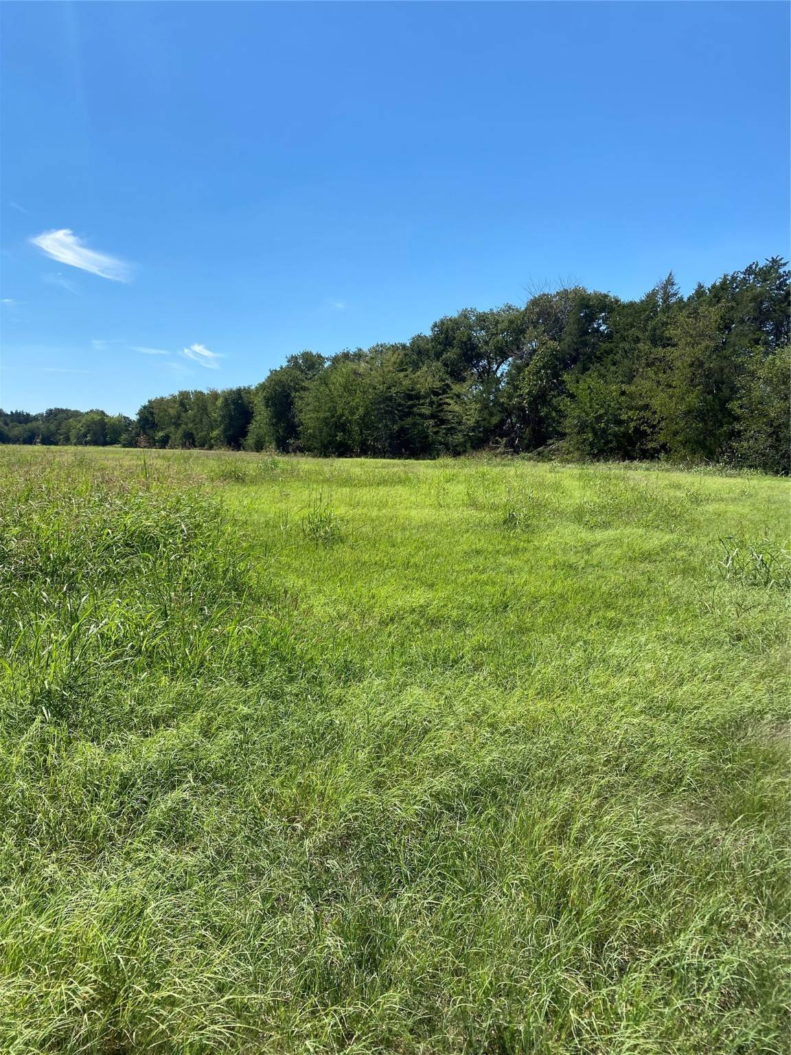 Cumby, TX 75433,Lot 14 County Road 1126