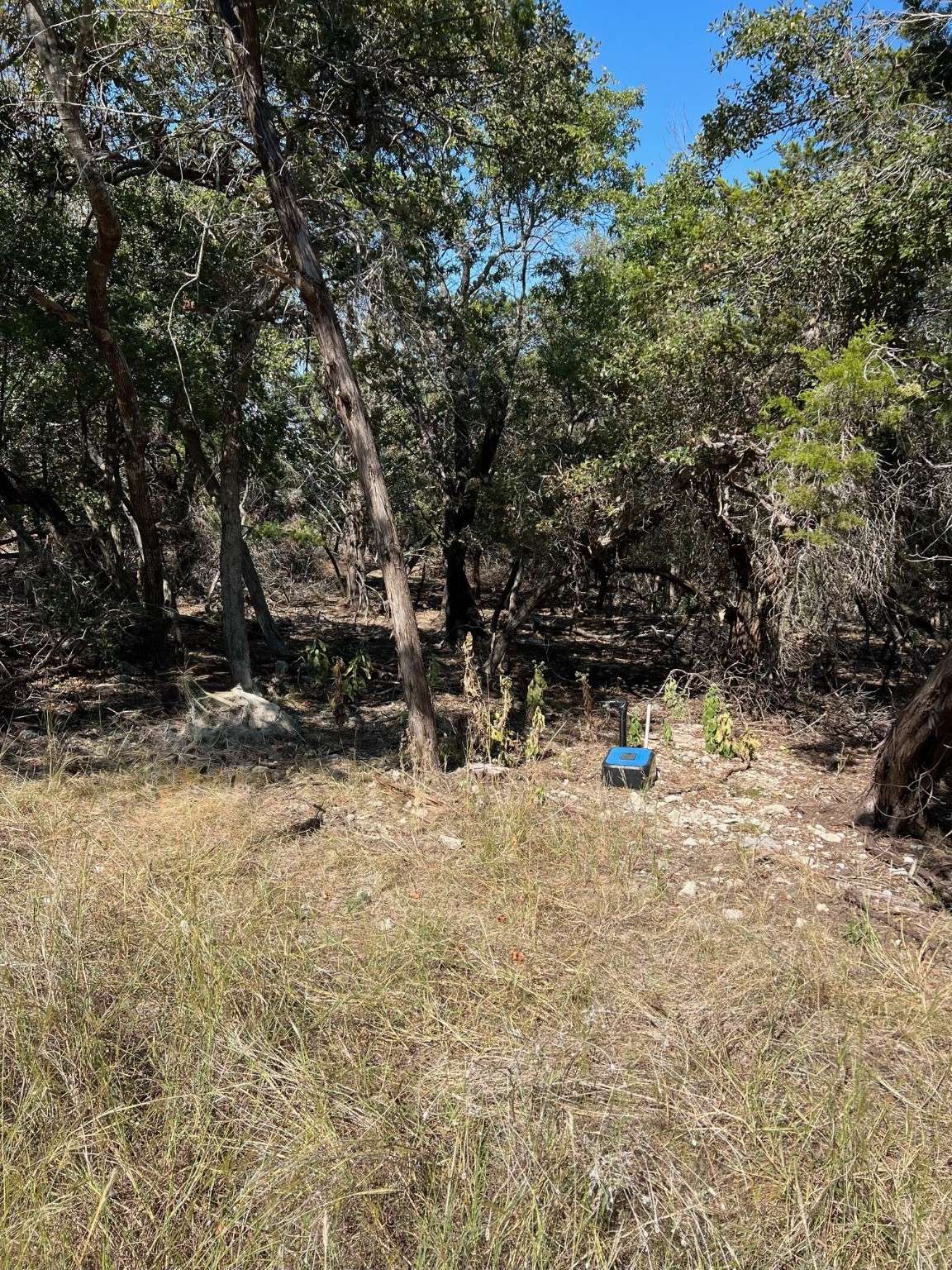 Temple, TX 76502,16149 Salado DR