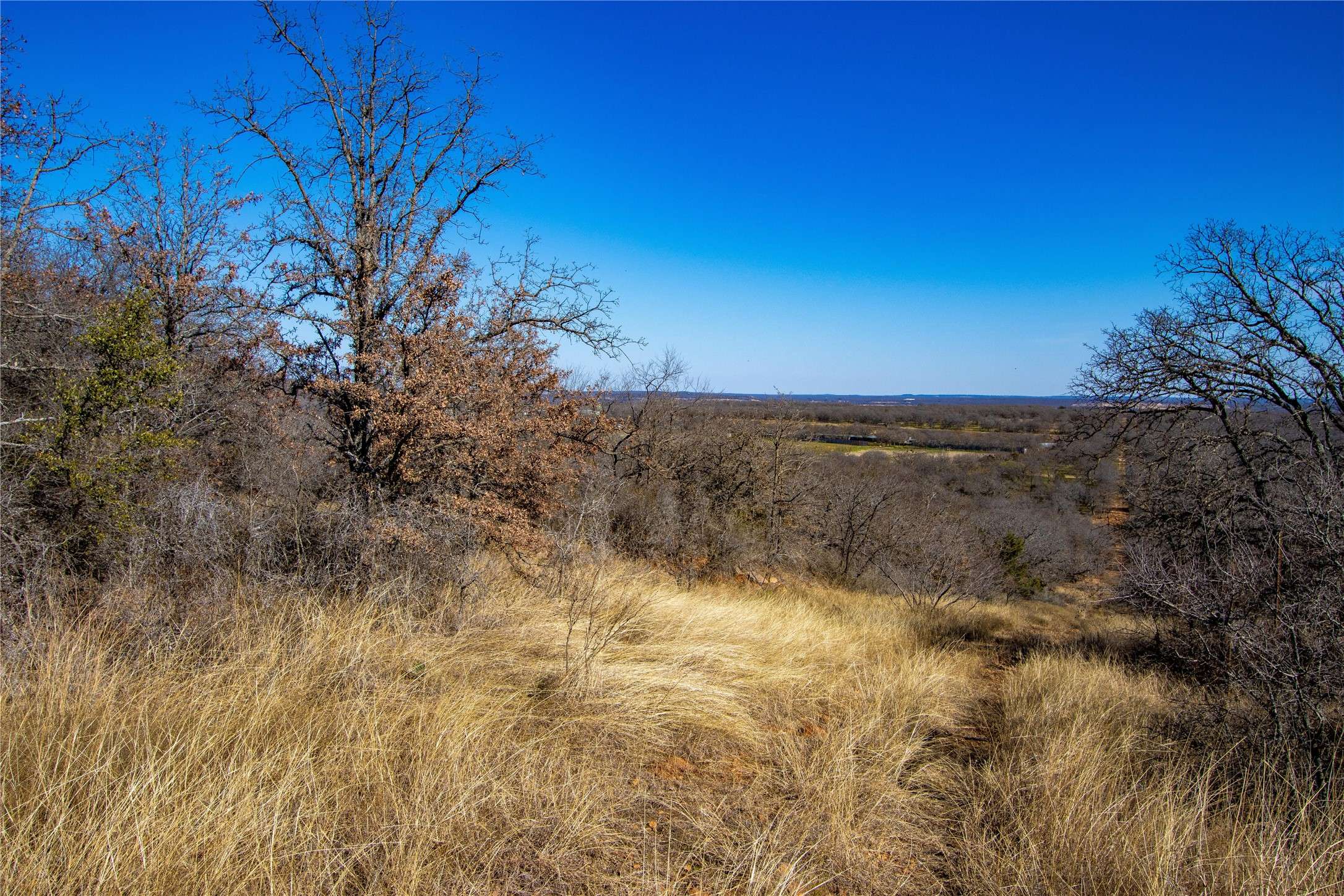 Mingus, TX 76453,Lot 31 Tababanica CT