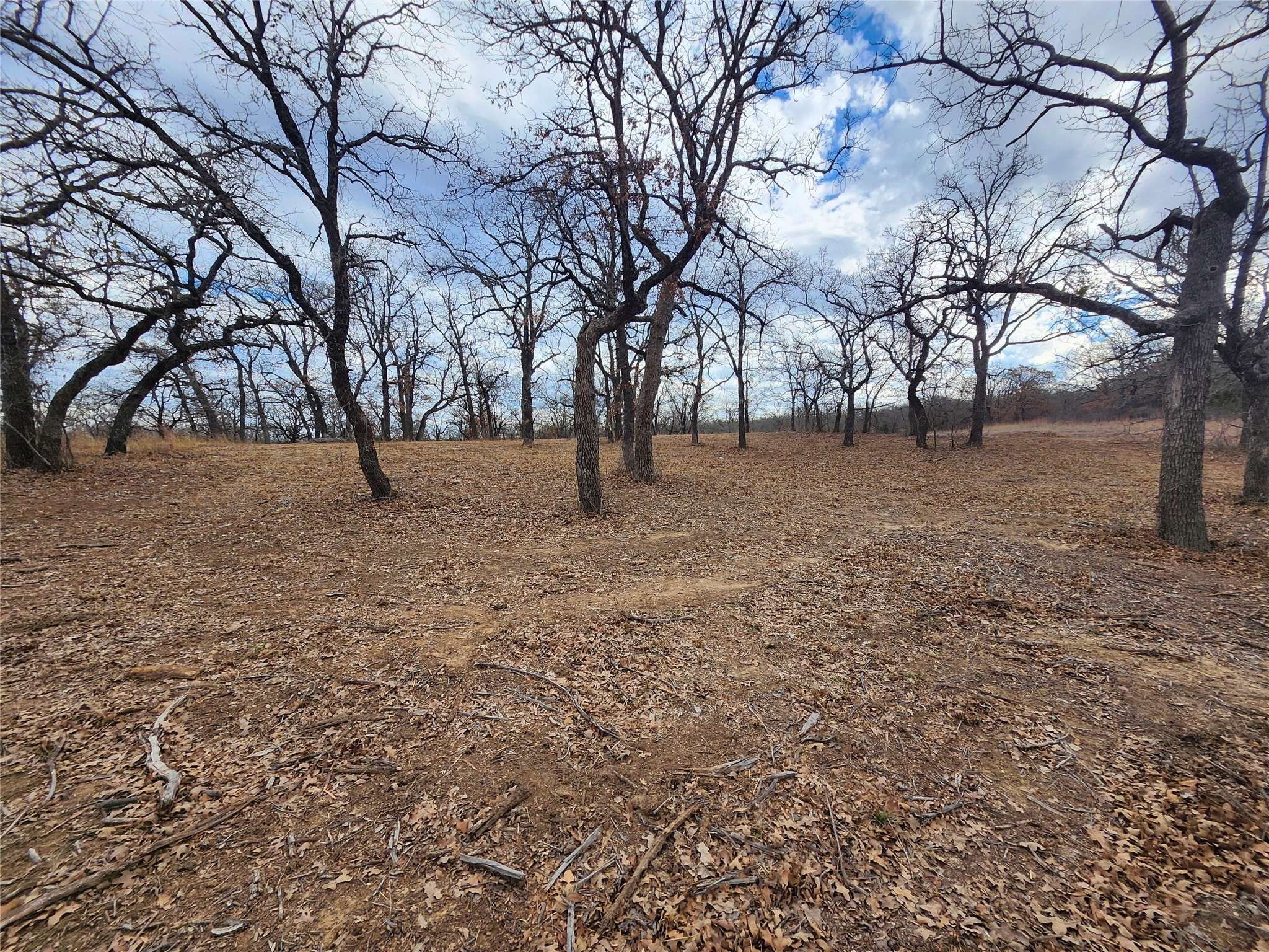 Nocona, TX 76255,114 Zuni DR
