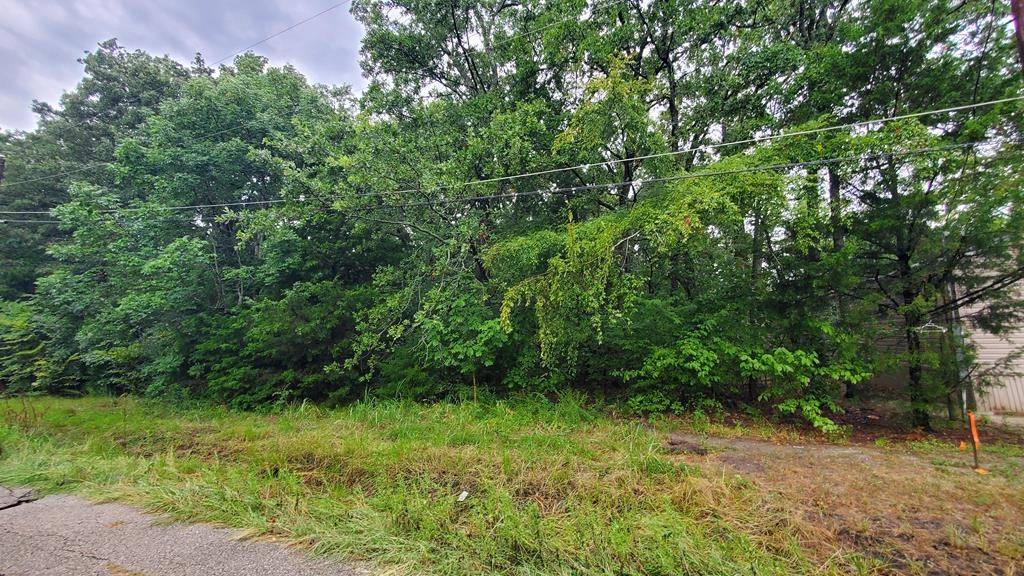 Mabank, TX 75156,121 Chillacothe TRL