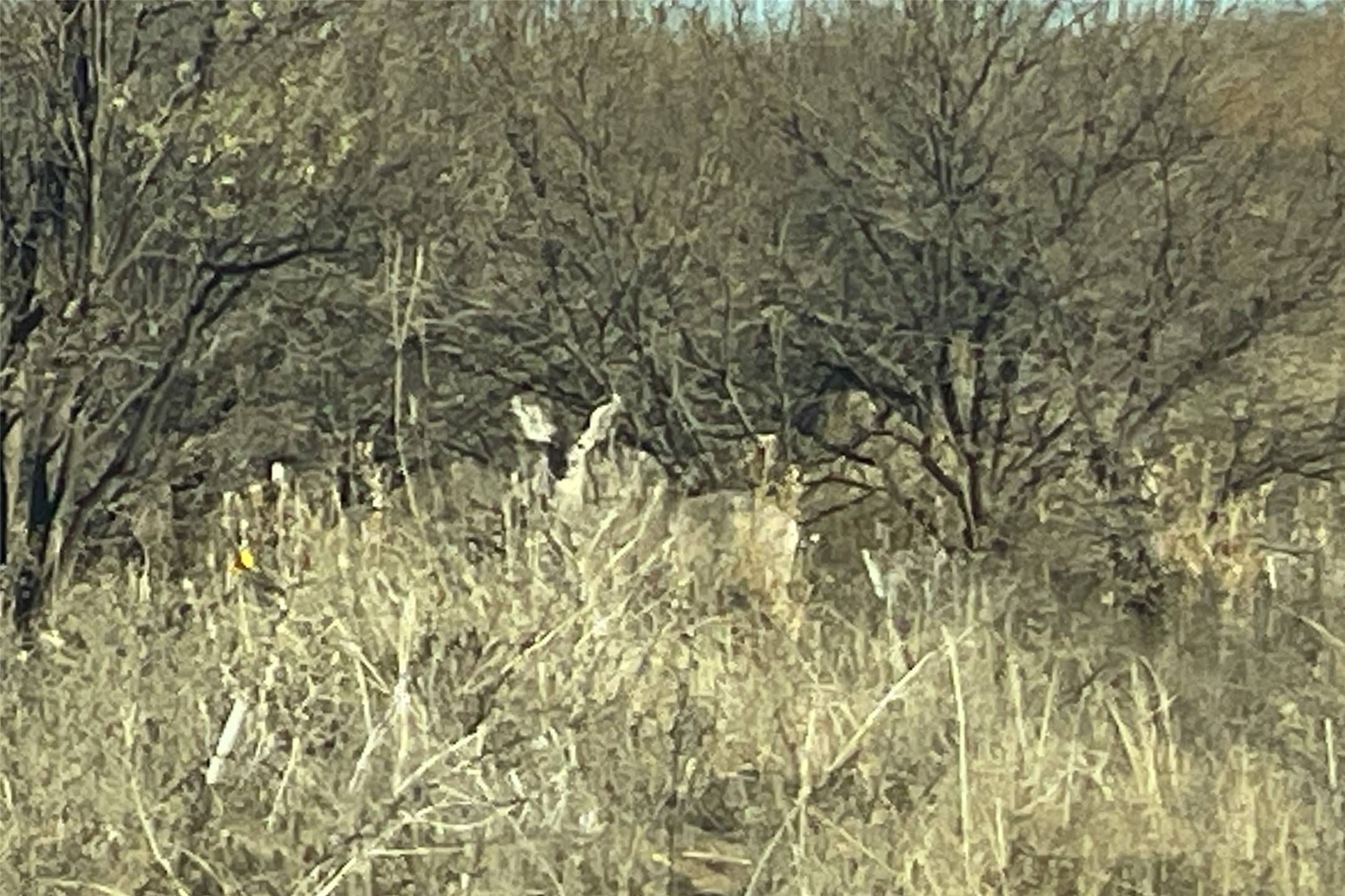 Paducah, TX 79248,TBD FM 1037