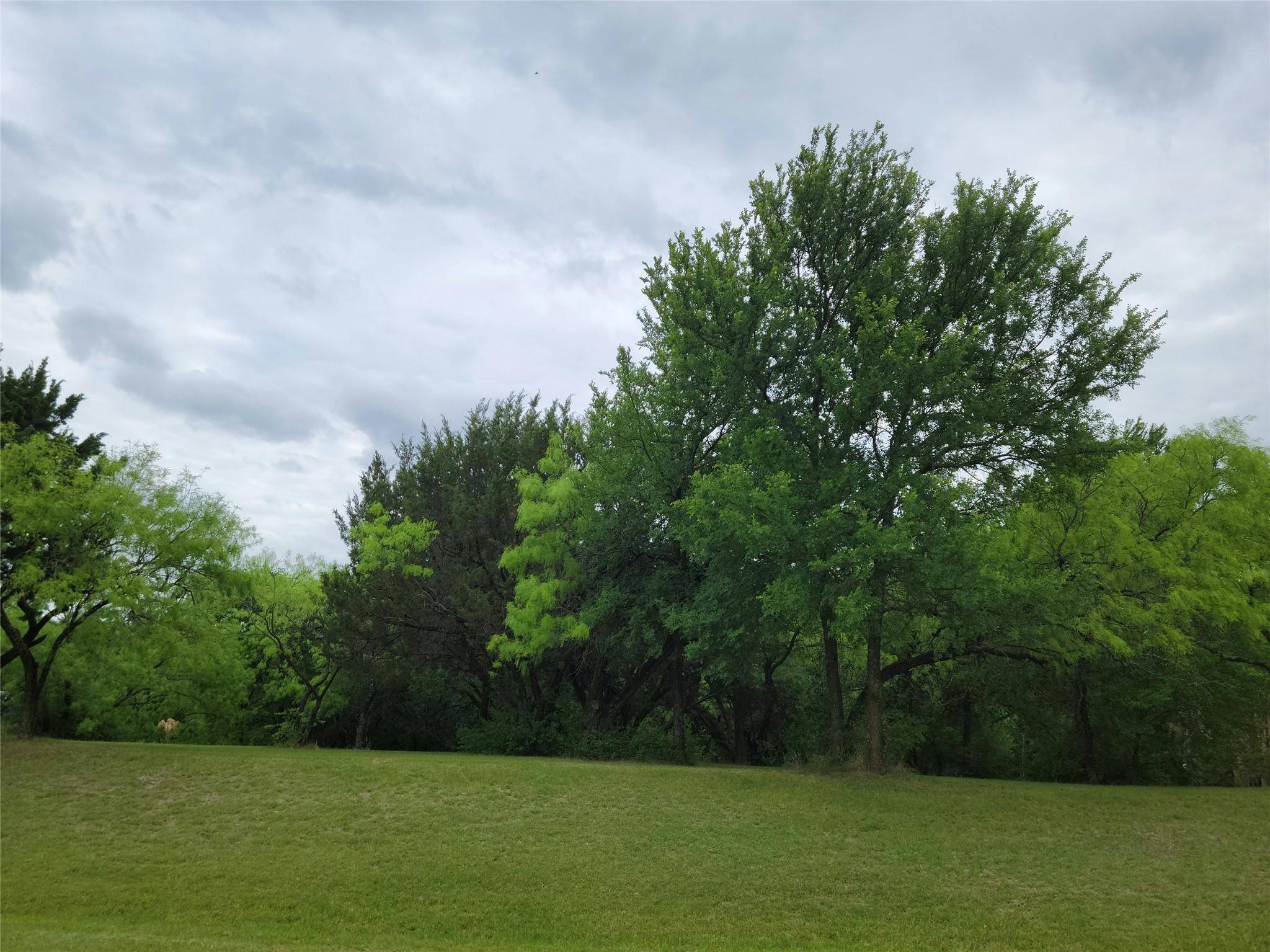 Cedar Hill, TX 75104,2812 Singletree CV