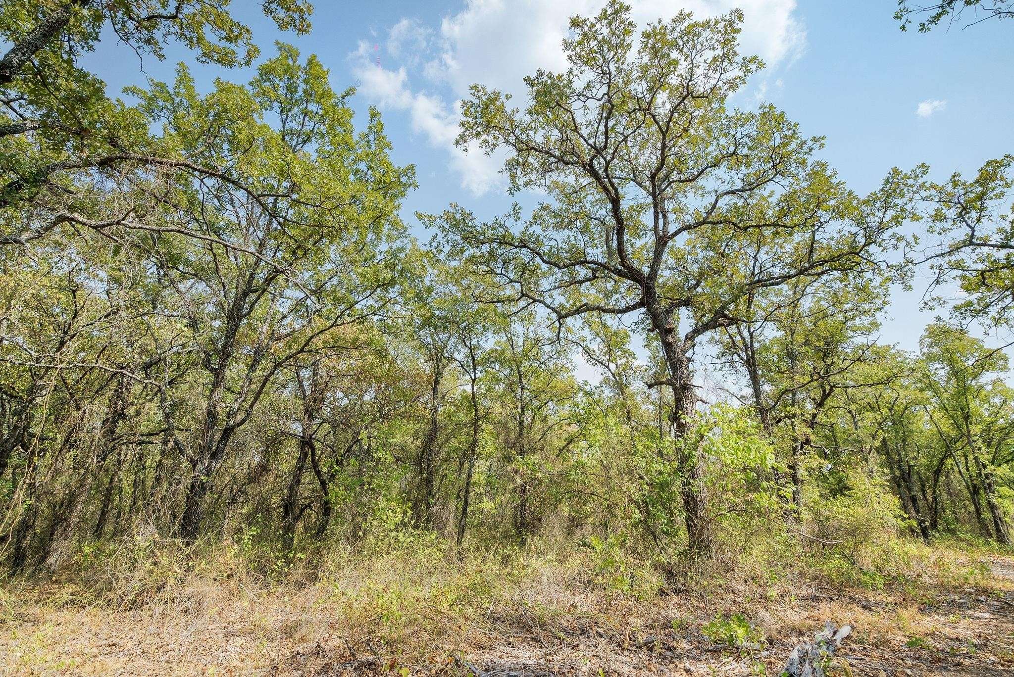 Perrin, TX 76486,Lot 9 Double B RD S