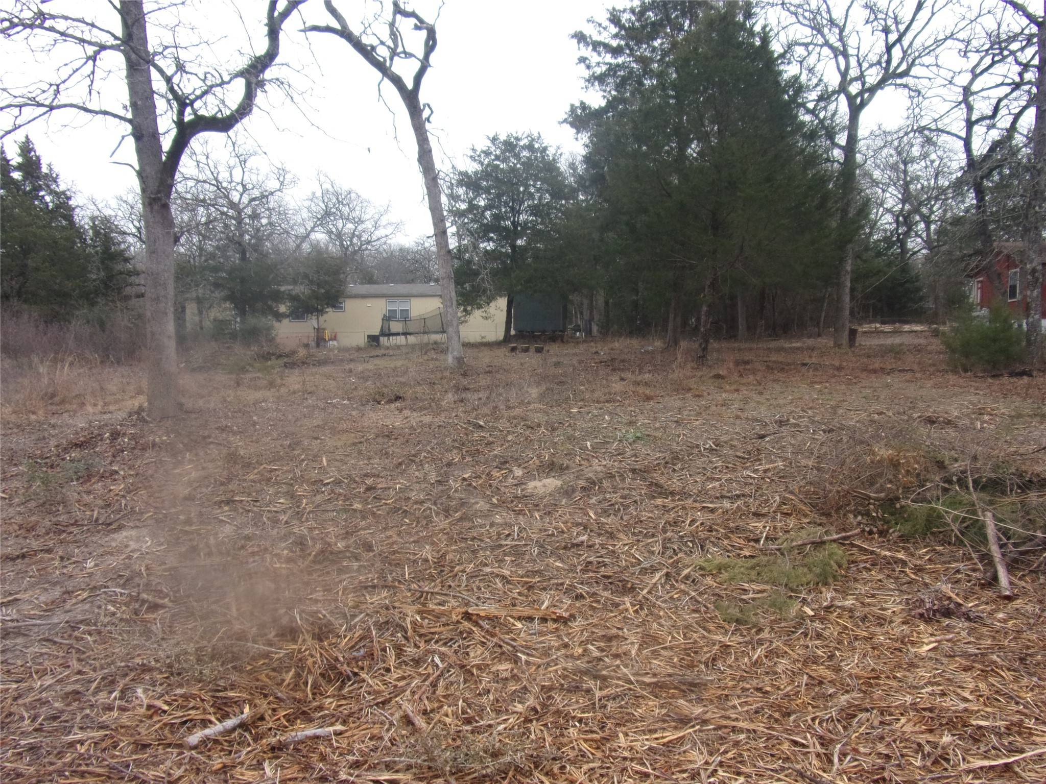 Murchison, TX 75778,tbd Maple DR