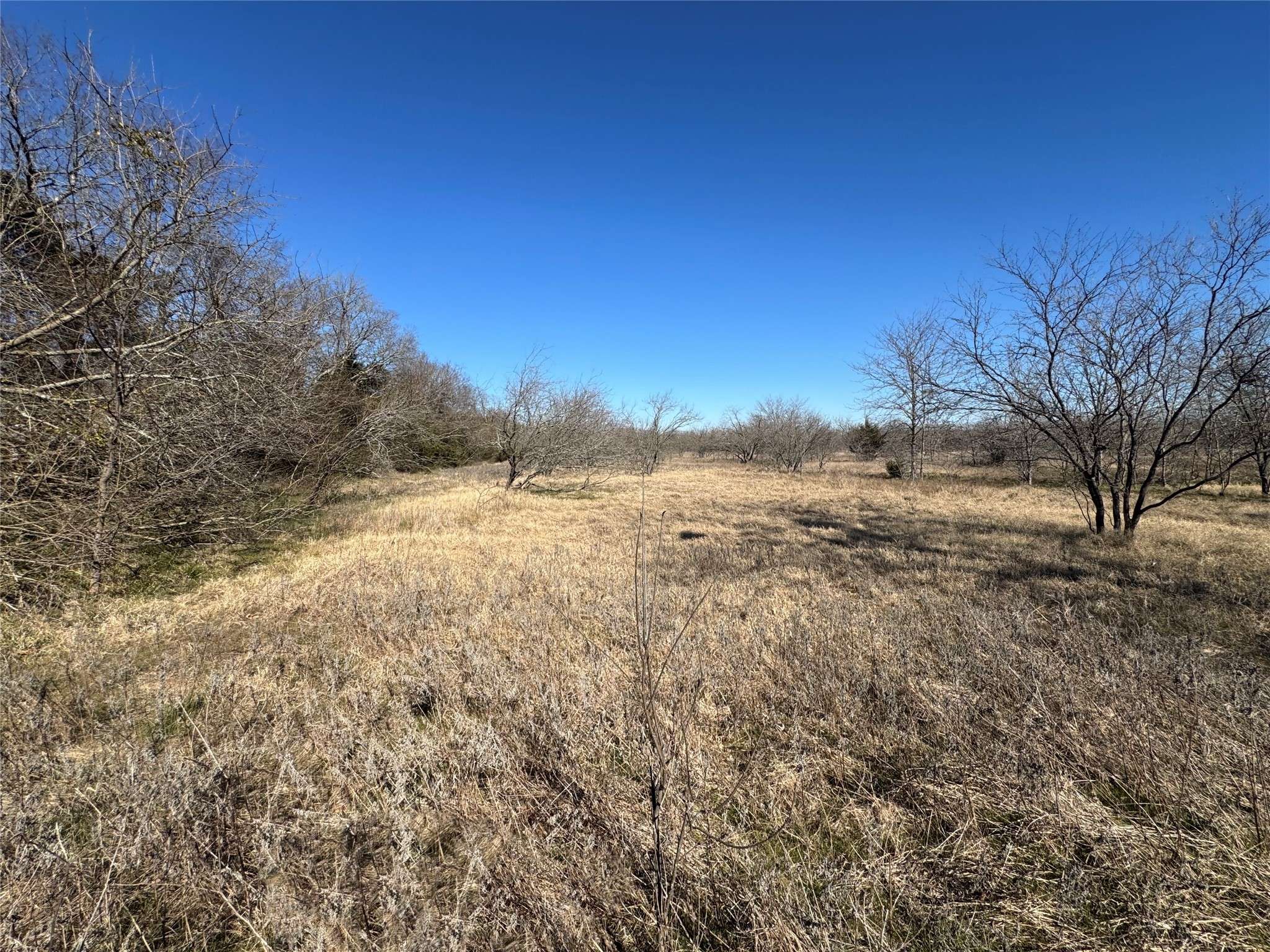 Greenville, TX 75401,0 7th ST