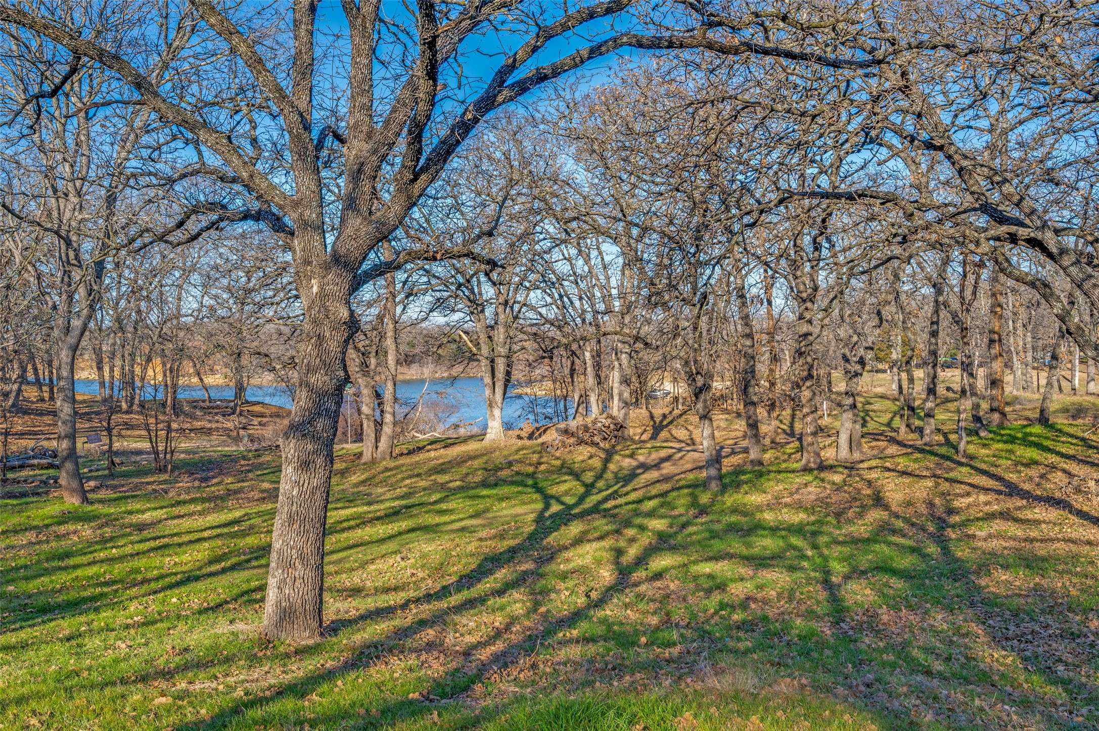 Hickory Creek, TX 75065,25R Royal Oaks BLVD