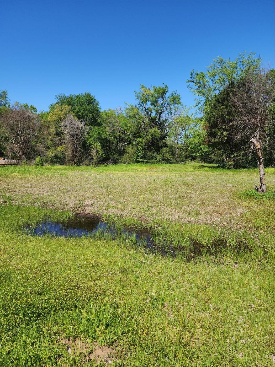 Mabank, TX 75156,112 Lindy Lee LN