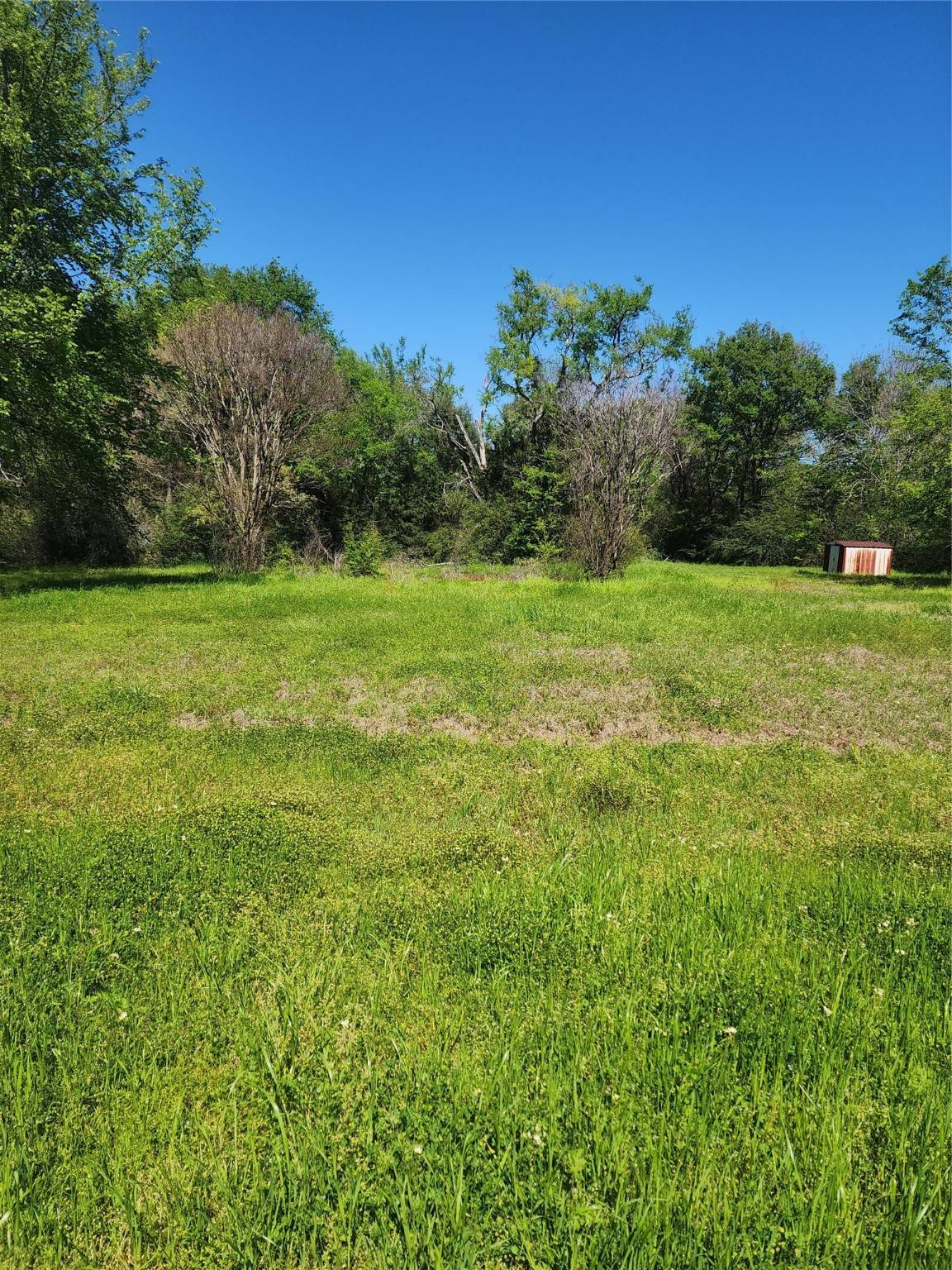 Mabank, TX 75156,112 Lindy Lee LN