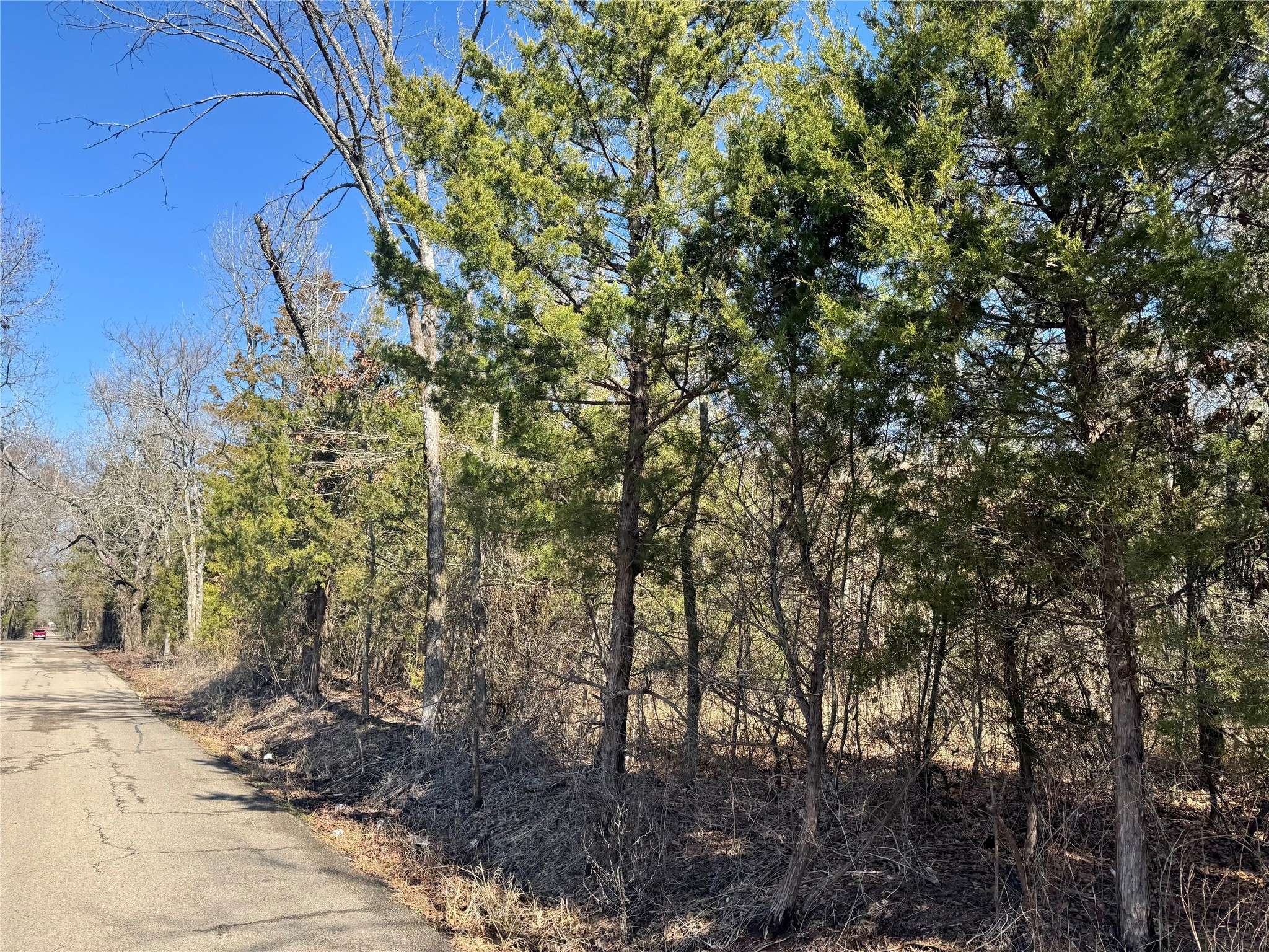Bogata, TX 75417,TBD COUNTY ROAD 1440