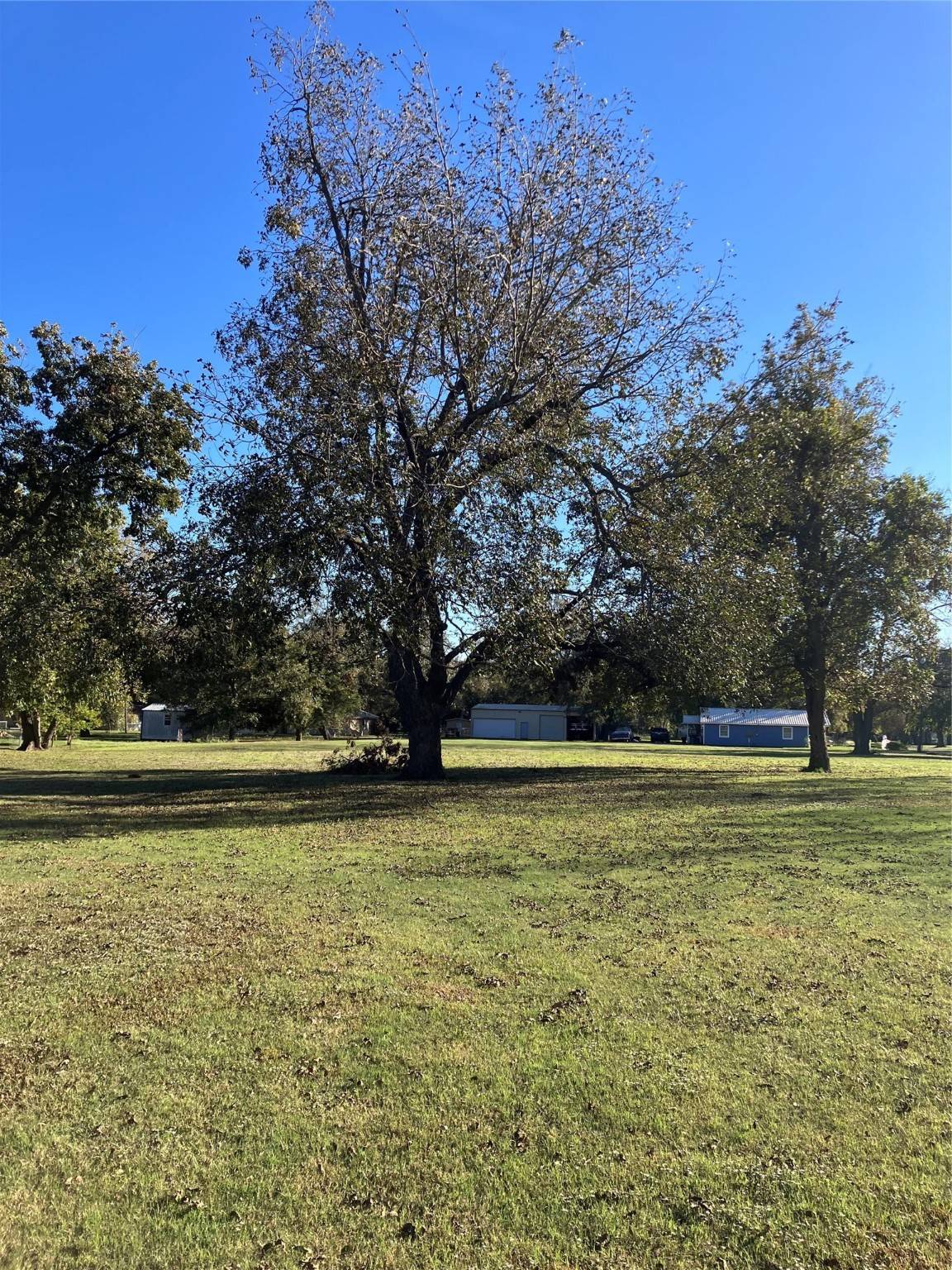 Roxton, TX 75477,212 Denton ST