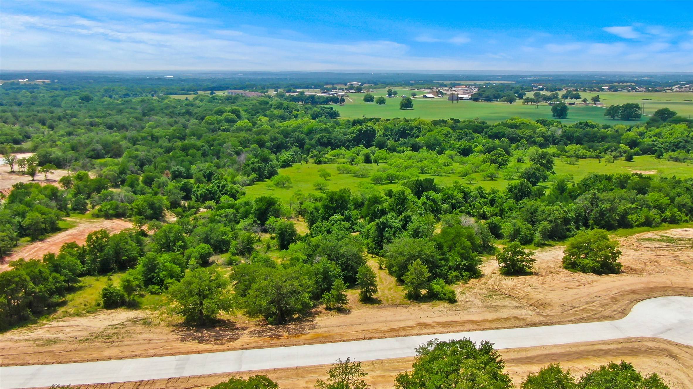 Brock, TX 76087,4008 Luciano DR