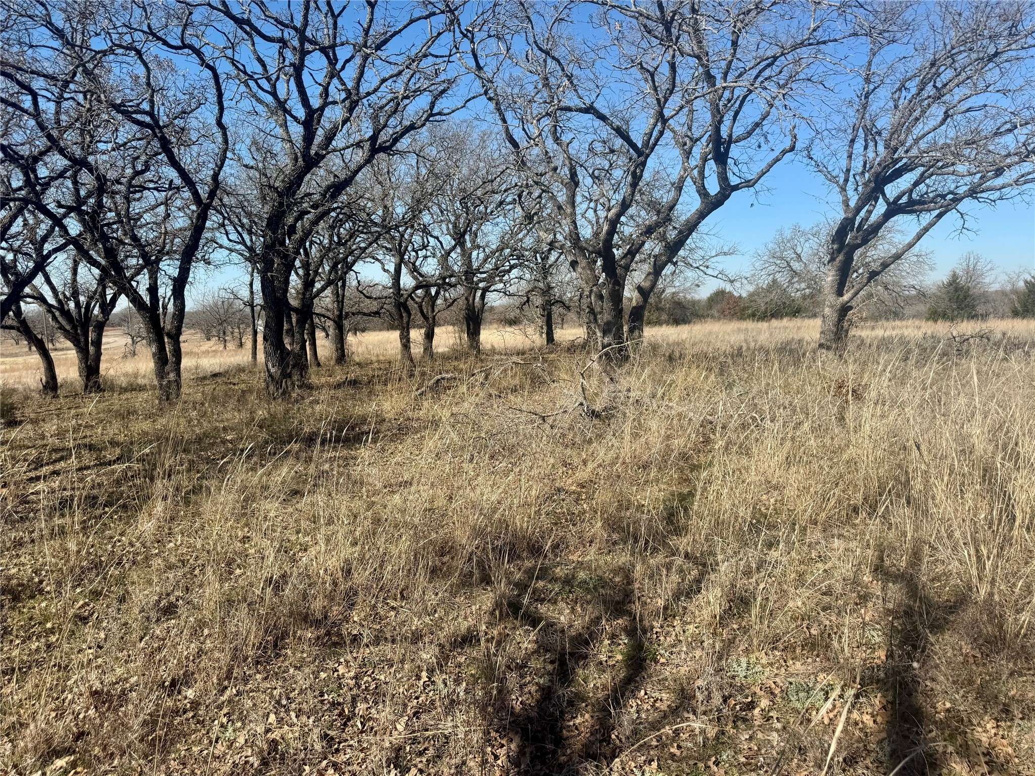 Sunset, TX 76270,TBD Gardner WAY