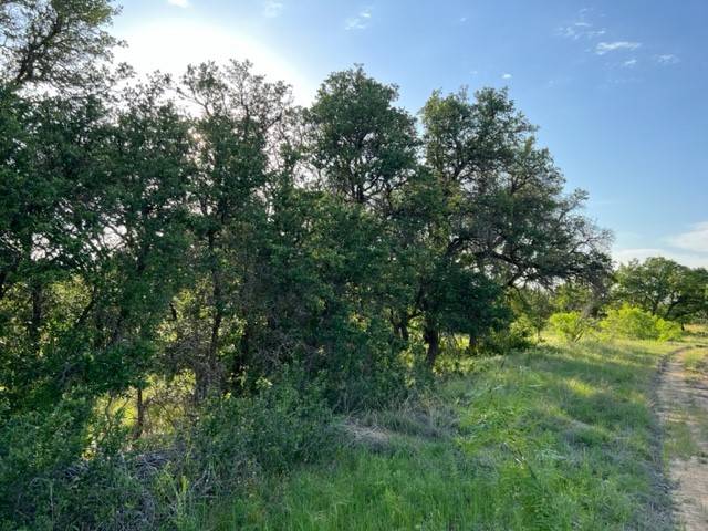 Brownwood, TX 76801,Lot 917 Safe Harbor DR