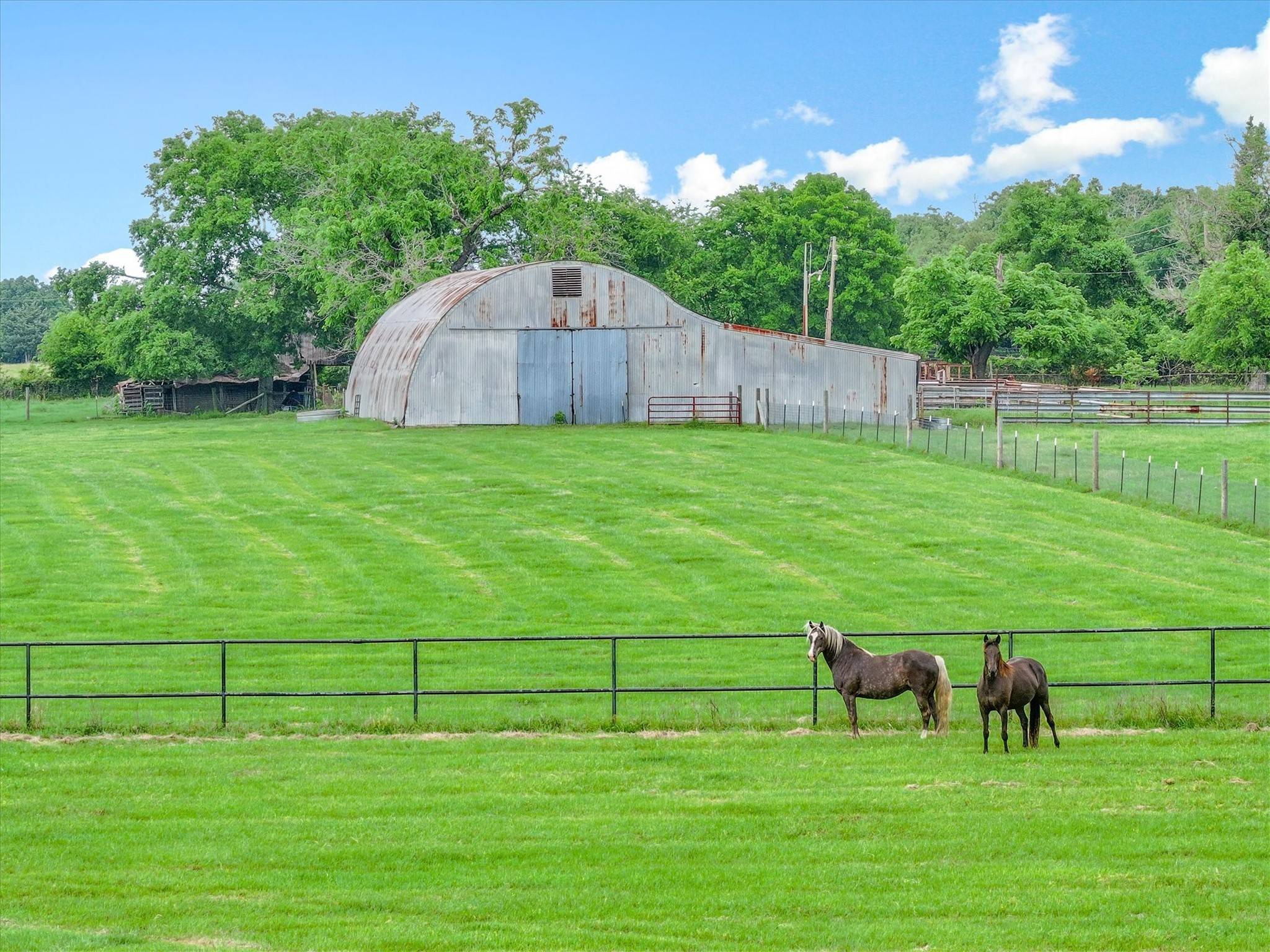 Wills Point, TX 75169,1100 Vz County Road 3419