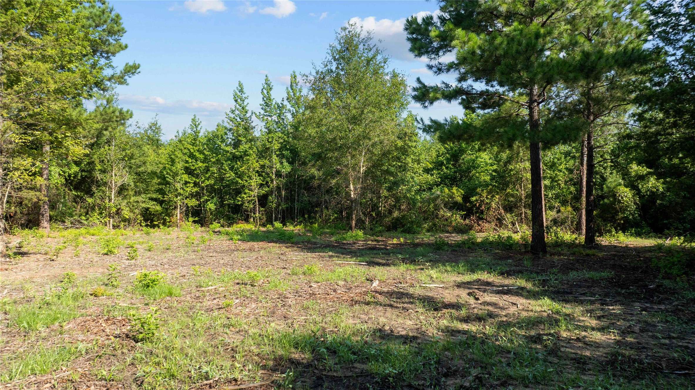 Gilmer, TX 75644,9443 Mistletoe RD #Lot 11